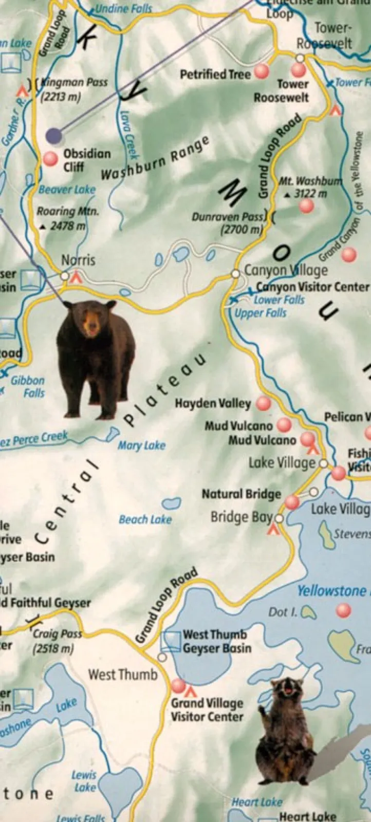 Illustrated map