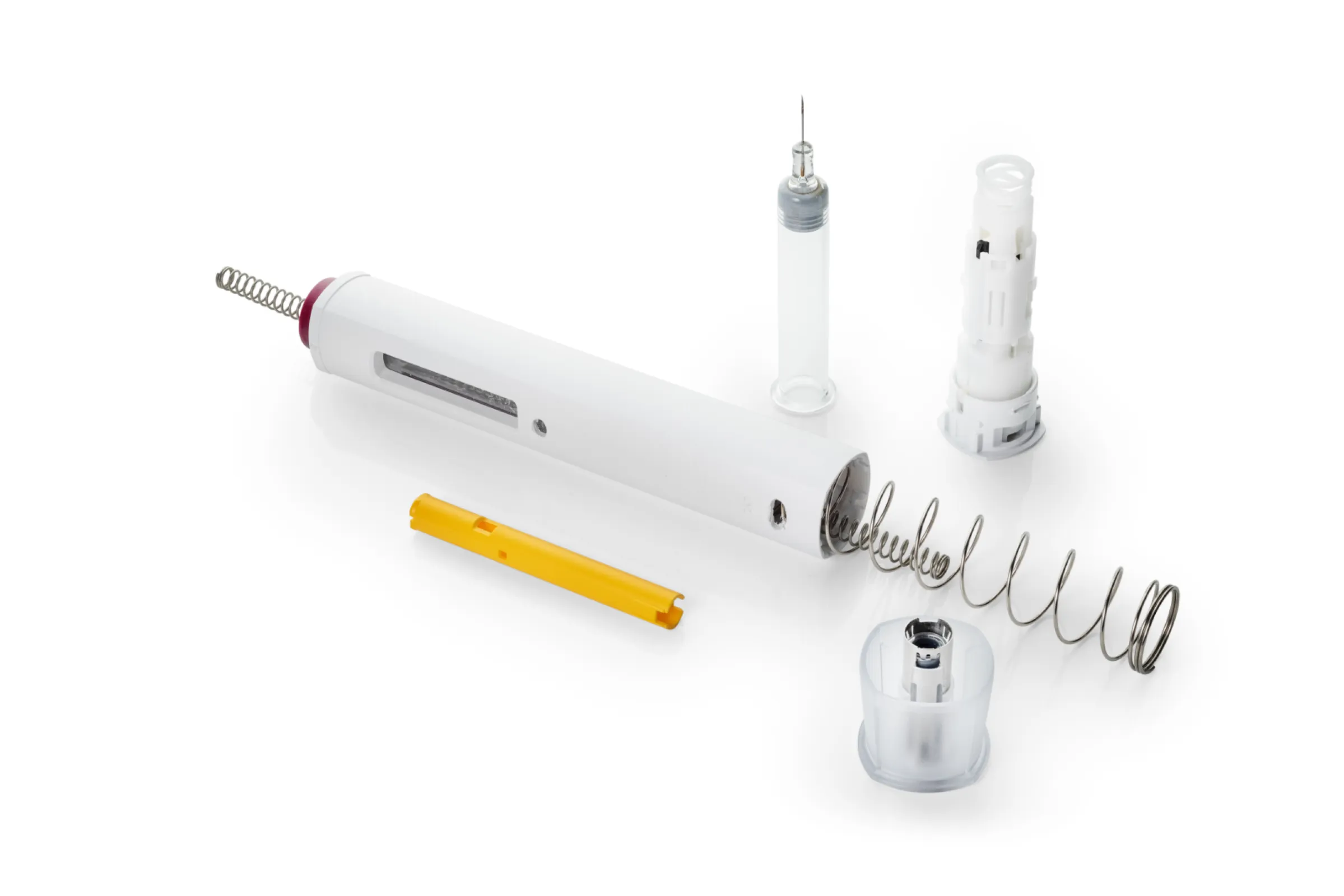 The typical components of an auto-injector