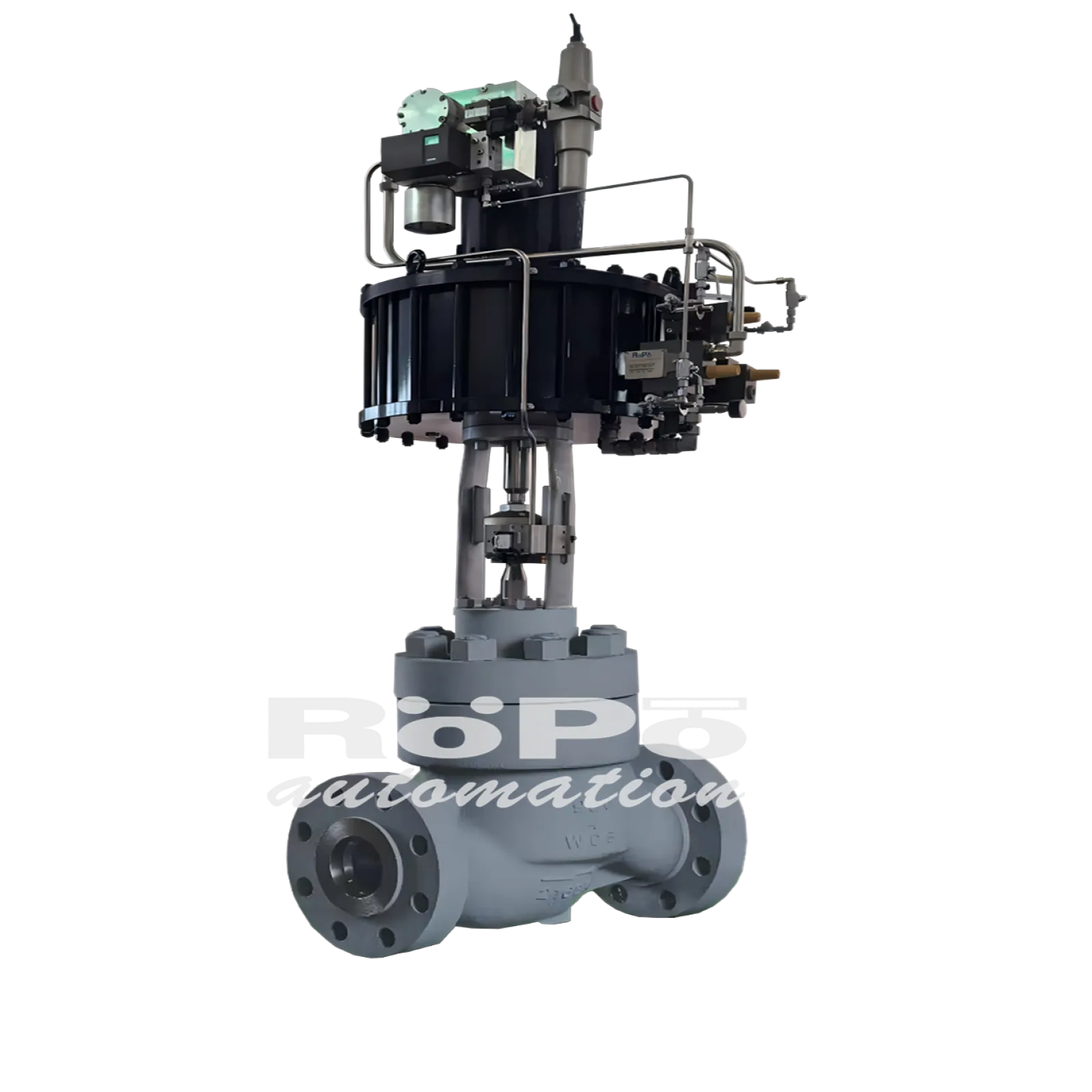 Globe Valve