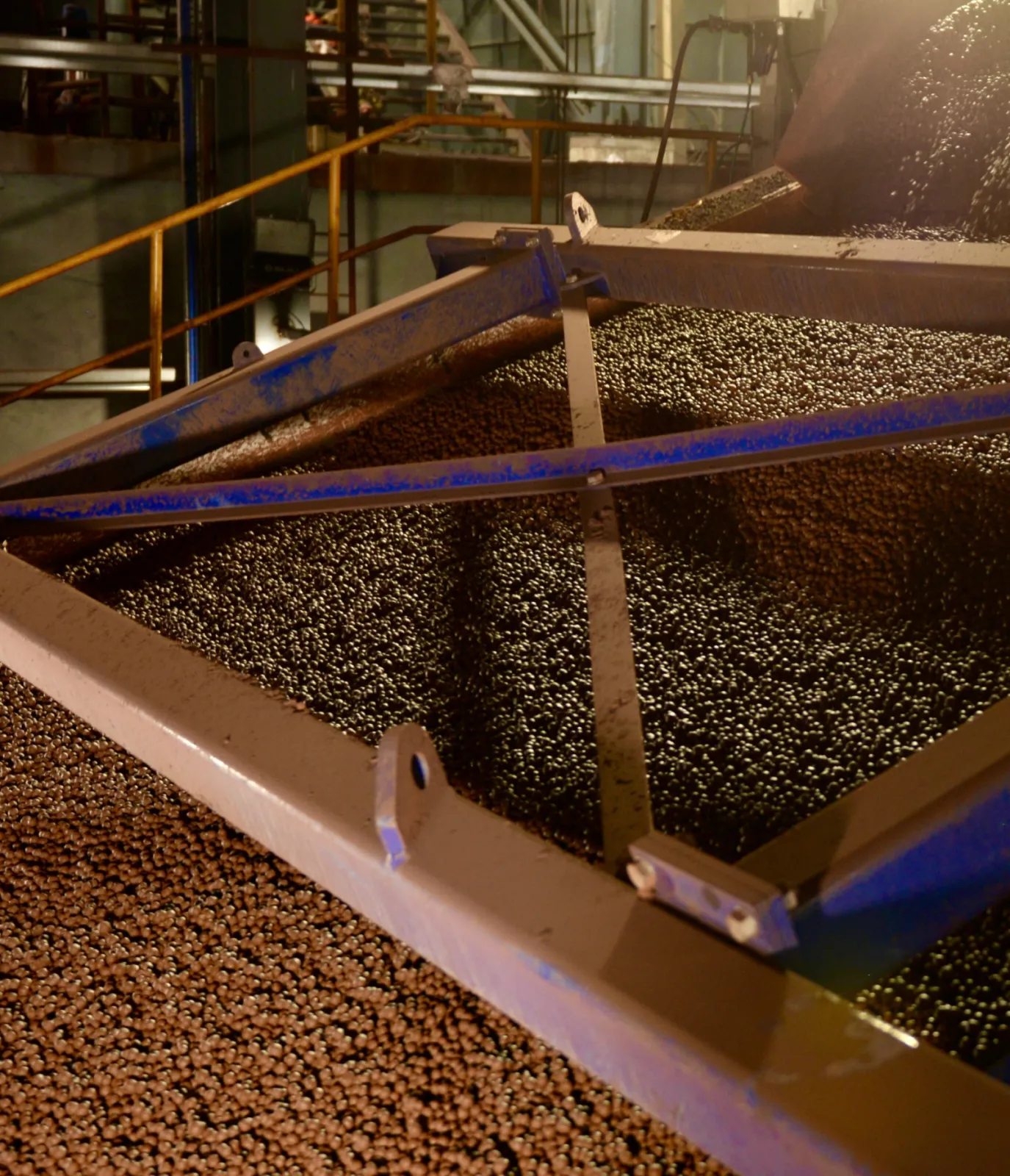 Green Pellets /Roller  Screen at Machine Feed Station
