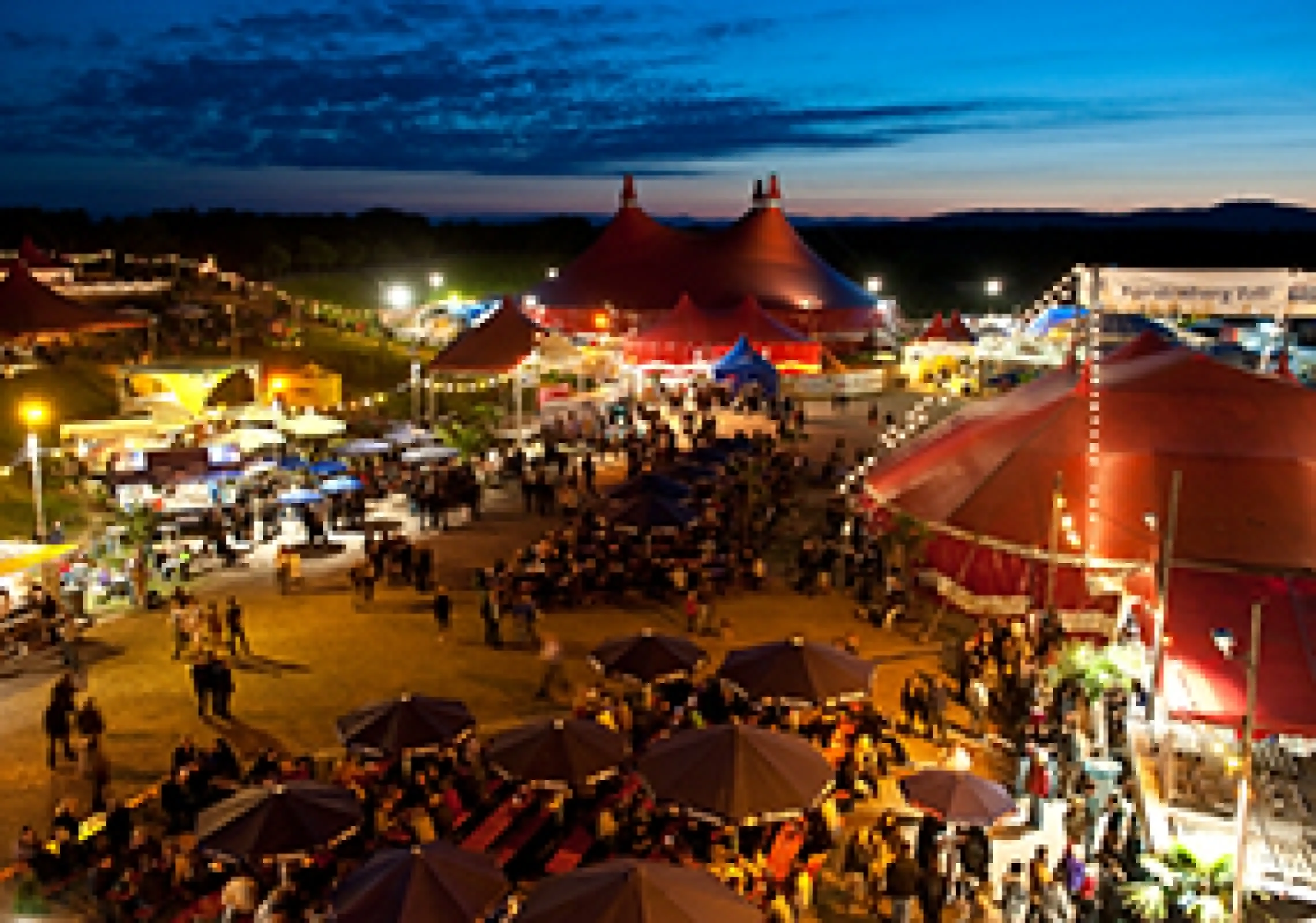 Music Festival
