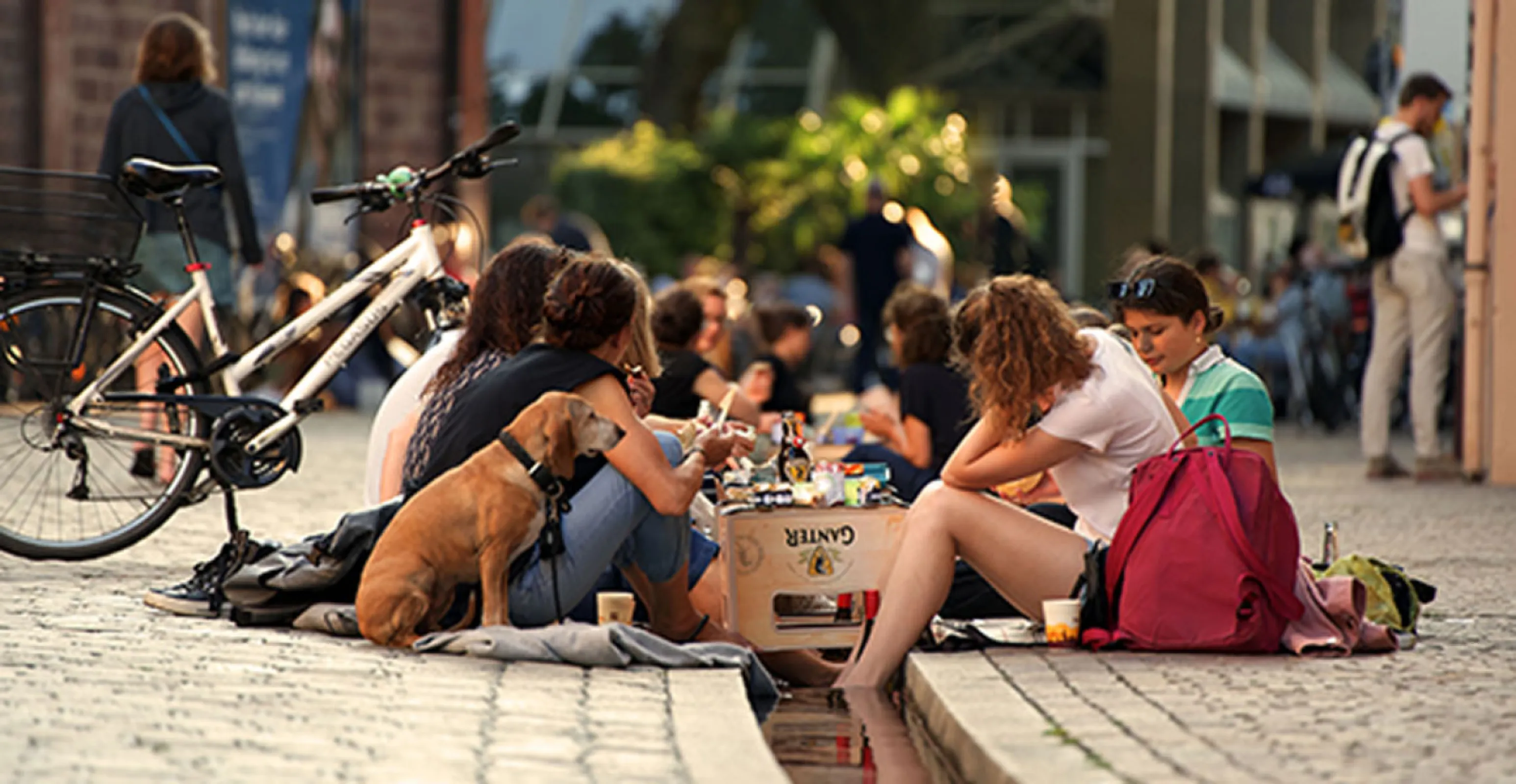 A curated selection of exceptional, experience-driven incentive ideas for groups – combining sustainability, authenticity and unique settings you’ll only find in Freiburg.