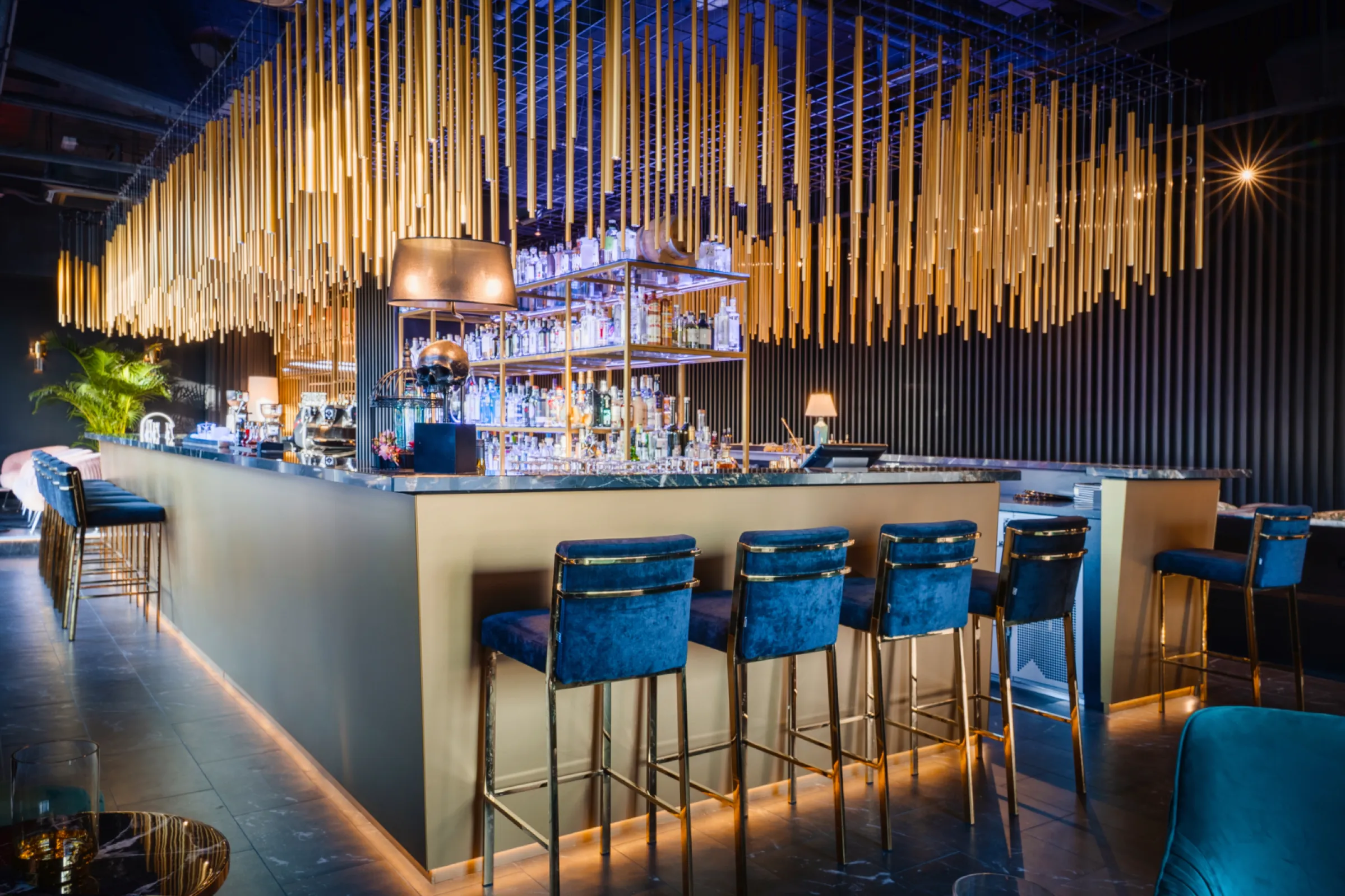 Bar - House of Gin