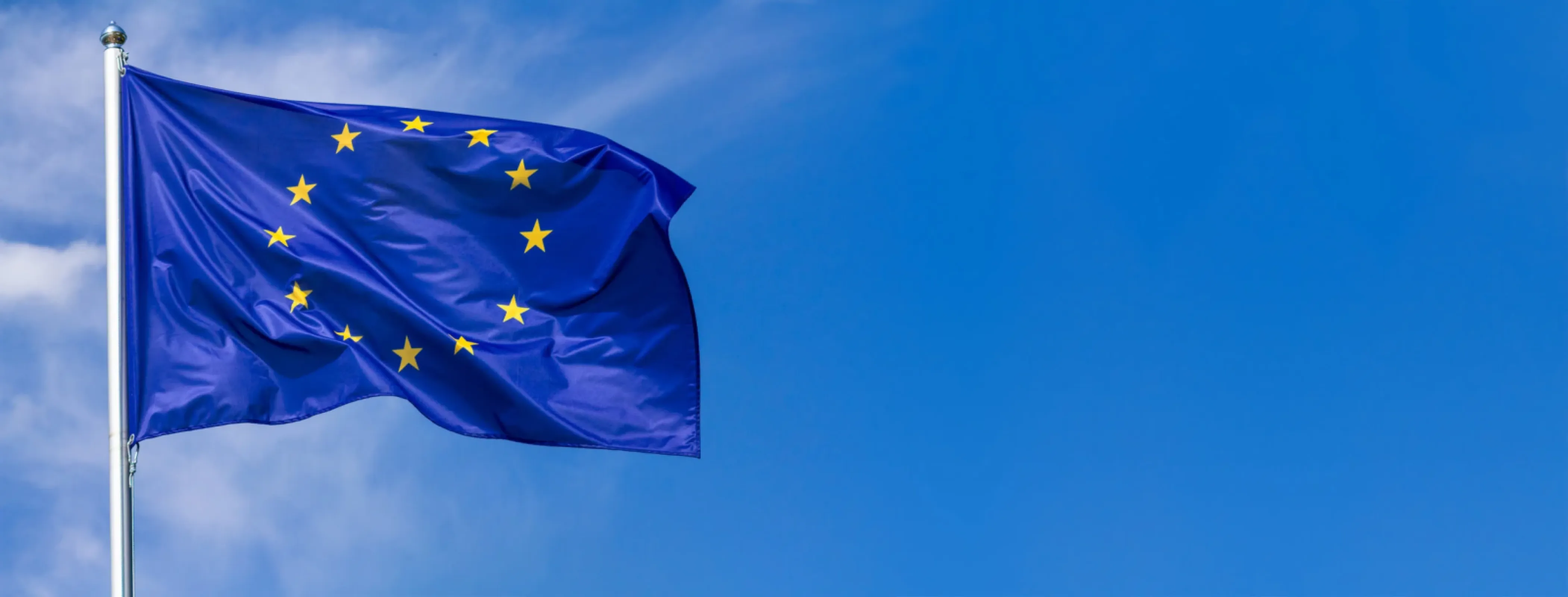 EU Flag EU Flag