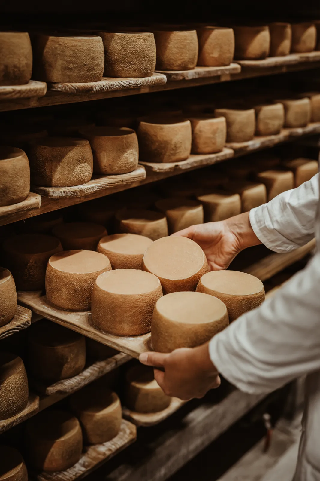 Baldauf Alpkäsle Aging Cellar – Traditional Raw Milk Cheese