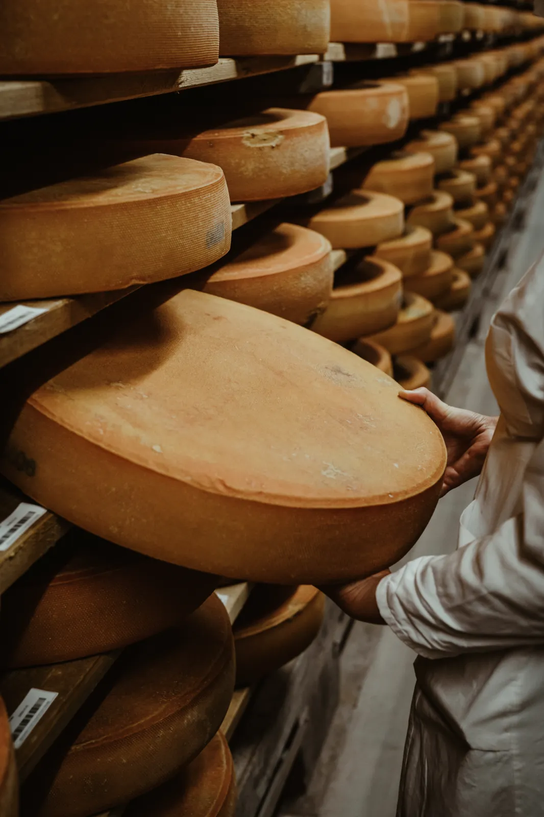 Raw milk mountain cheese aged to different levels of maturity.