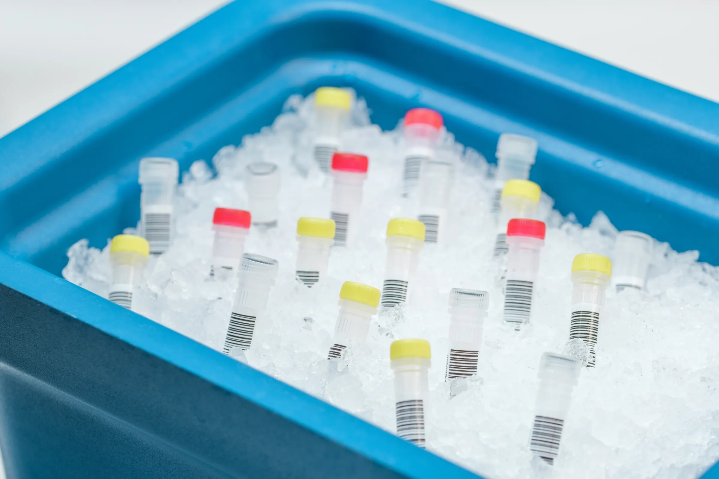 We support with our expertise in sample preparation and sample shipment.