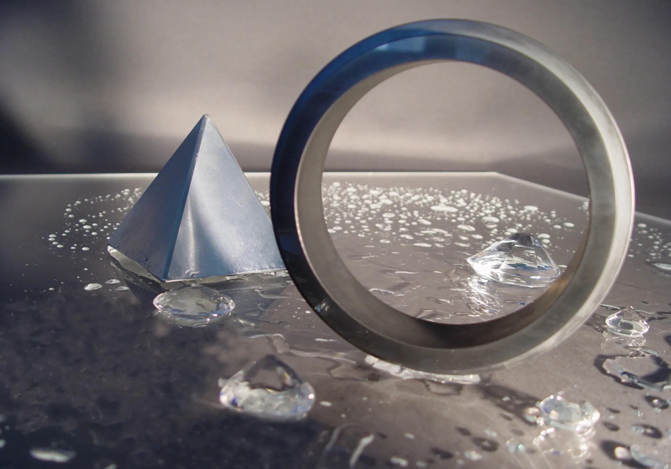 diamond coated mechanical seal