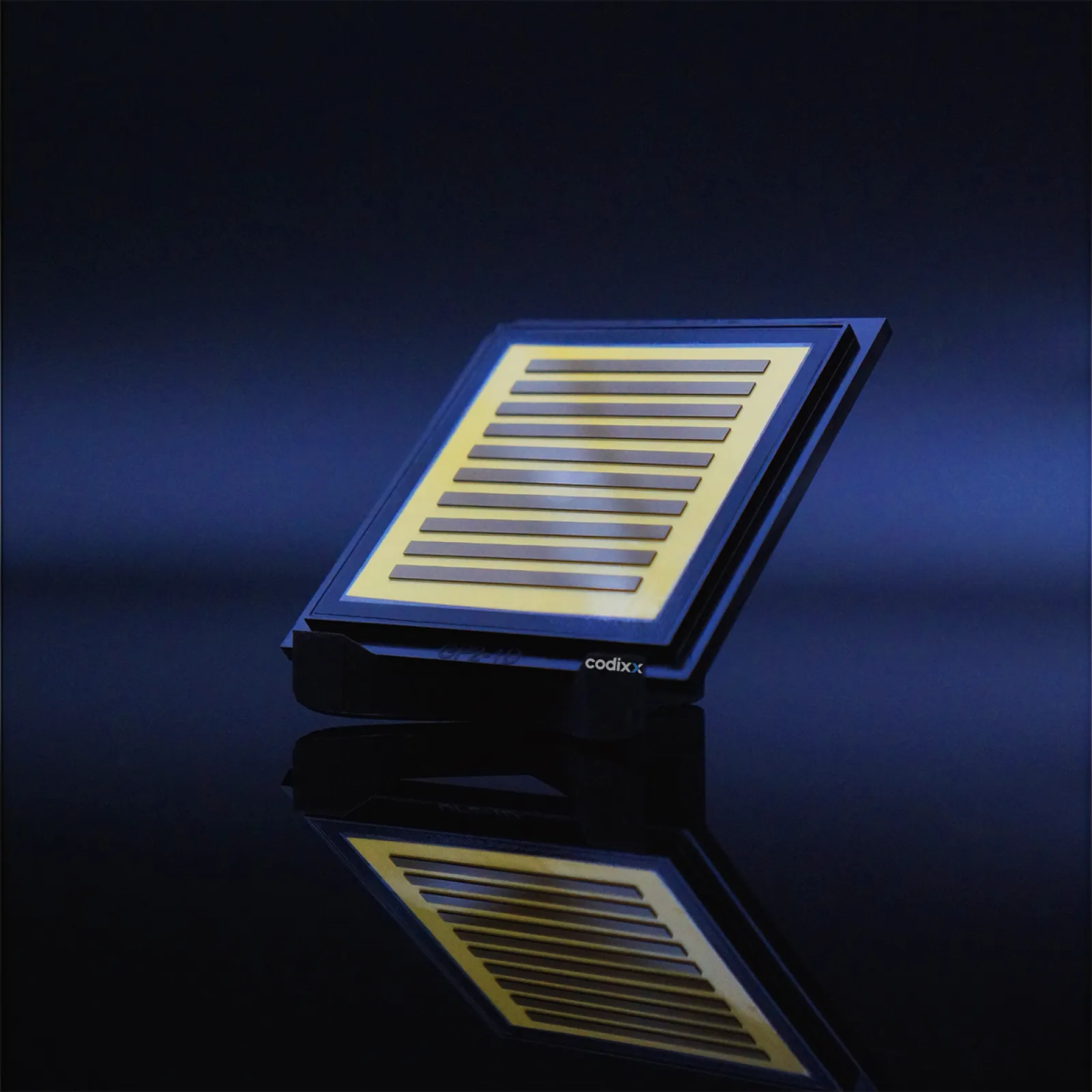 colorPol® Polarizer