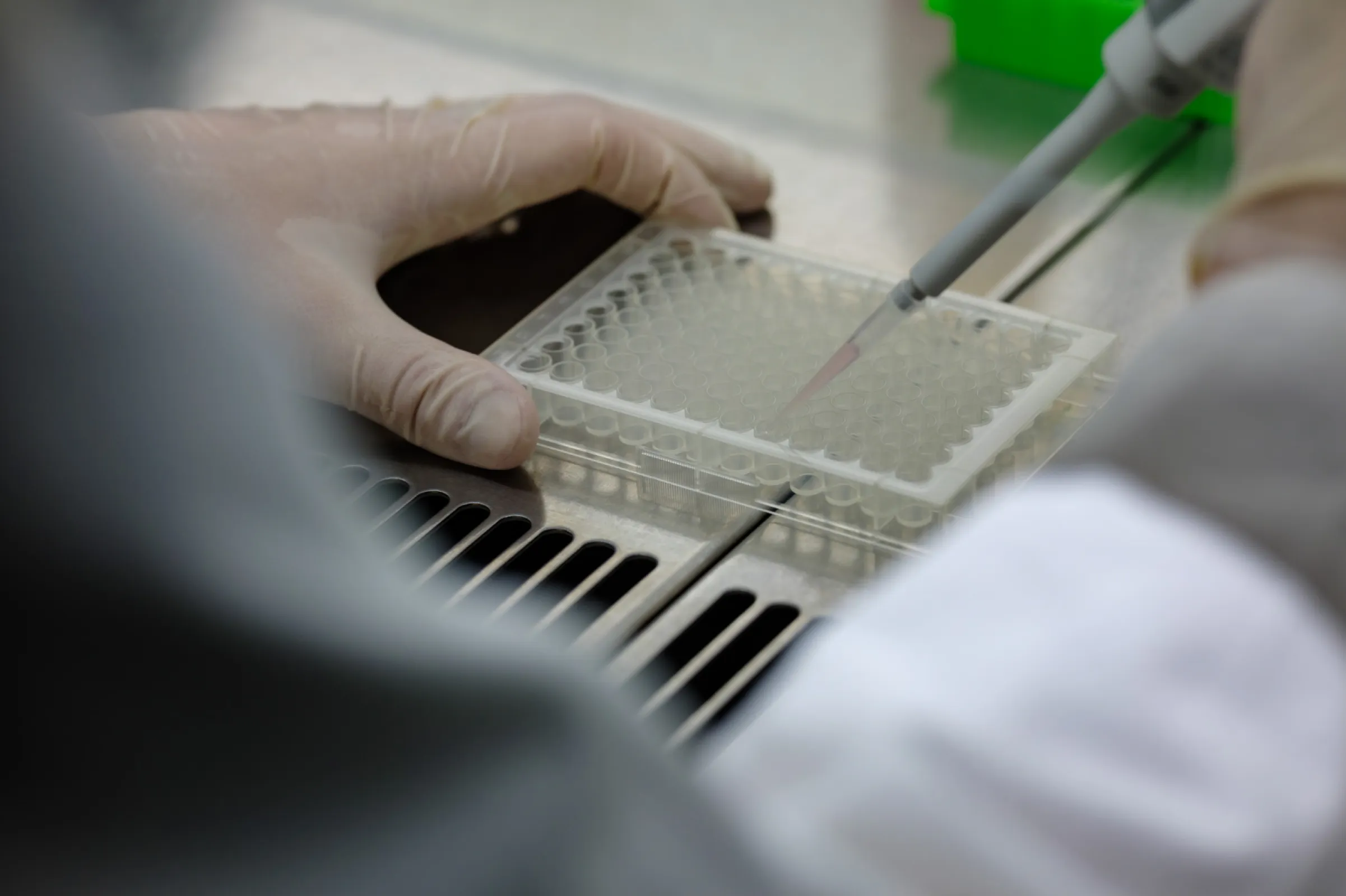 Green Elephant® microPLAtes