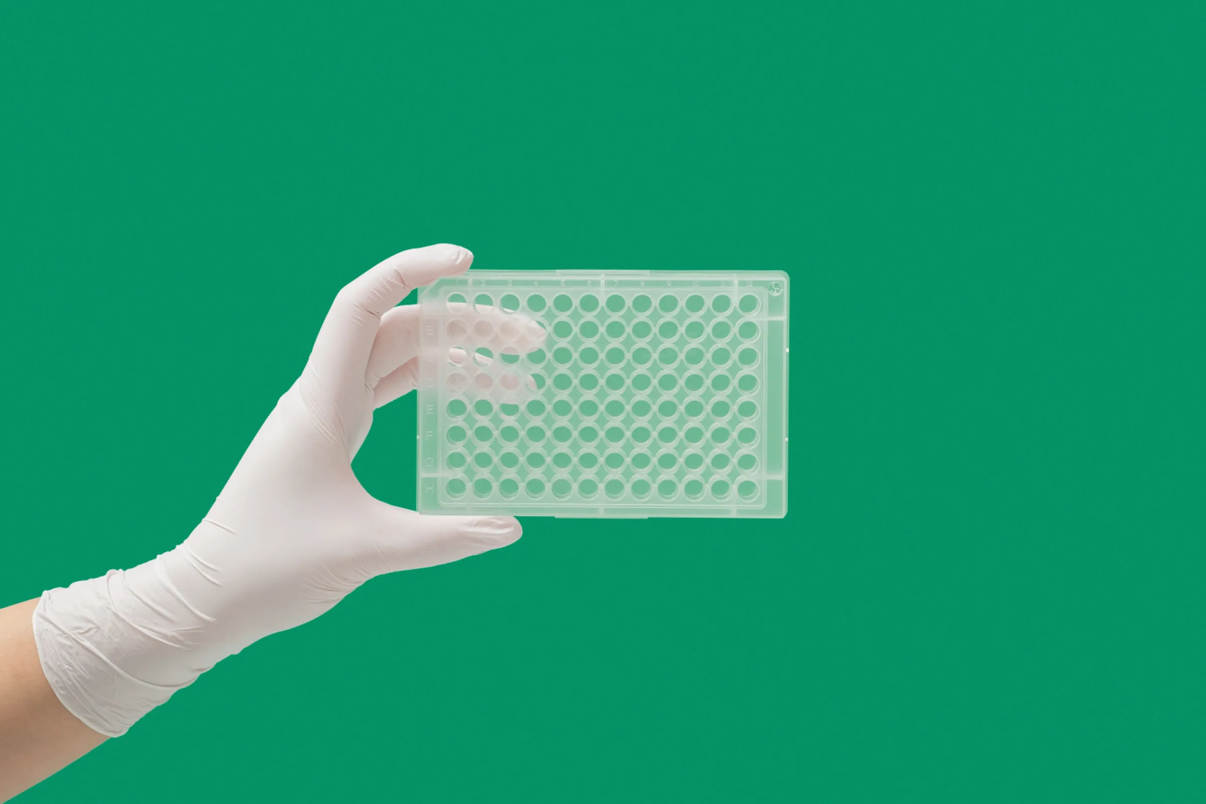 Green Elephant® clear microPLAte