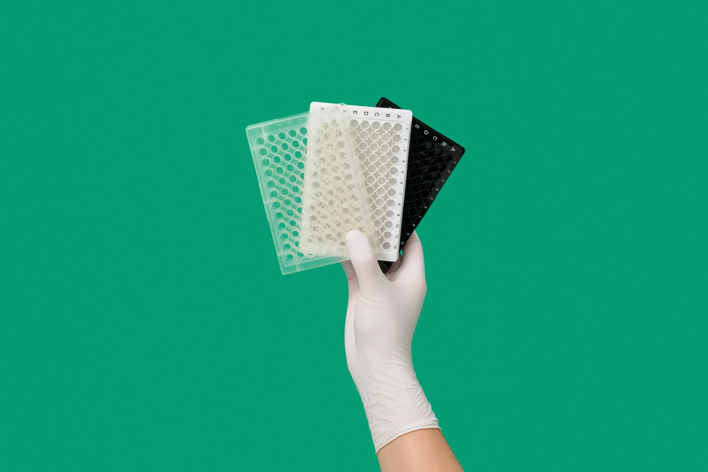 Green Elephant® microPLAtes in clear, white and black