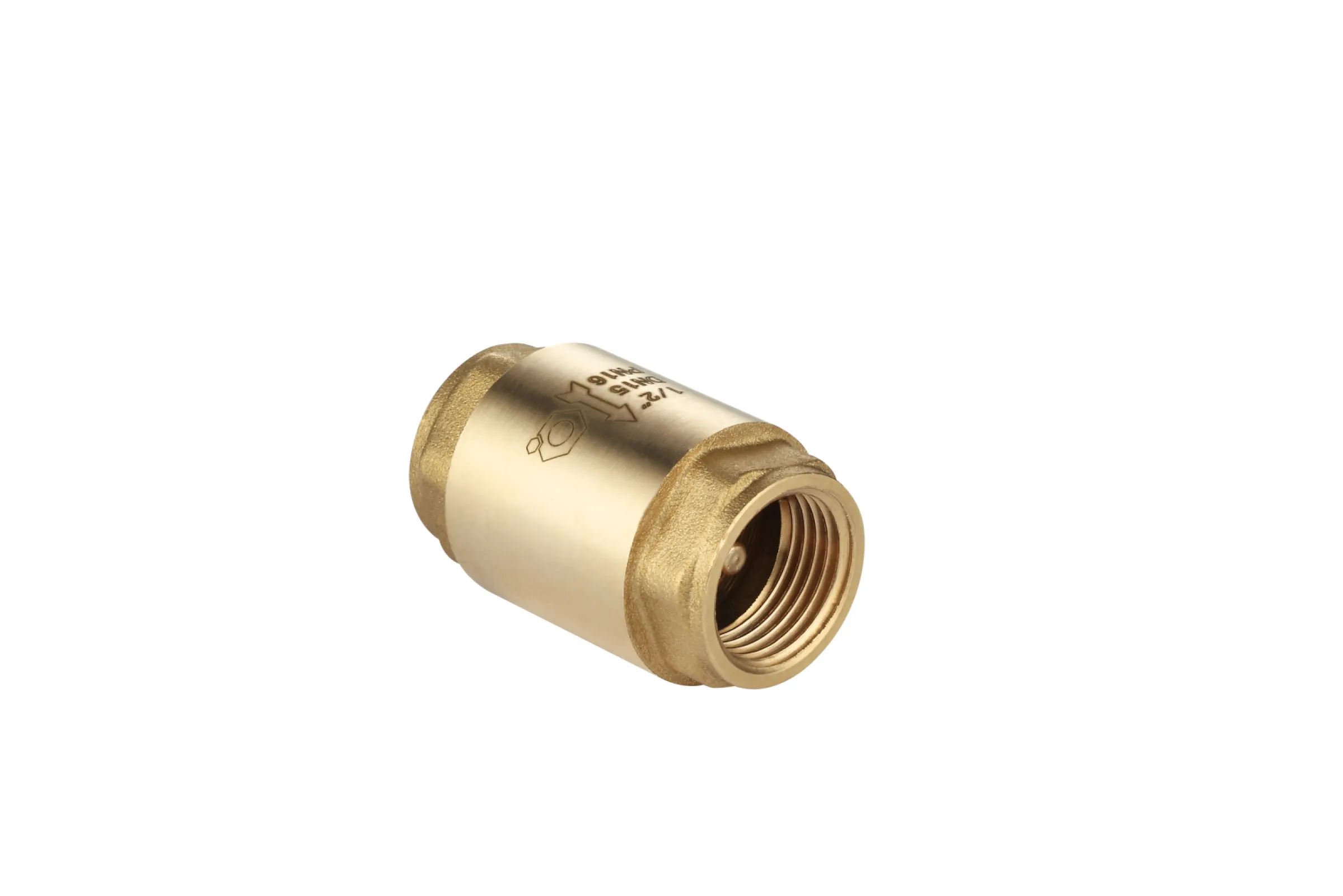 Check valve