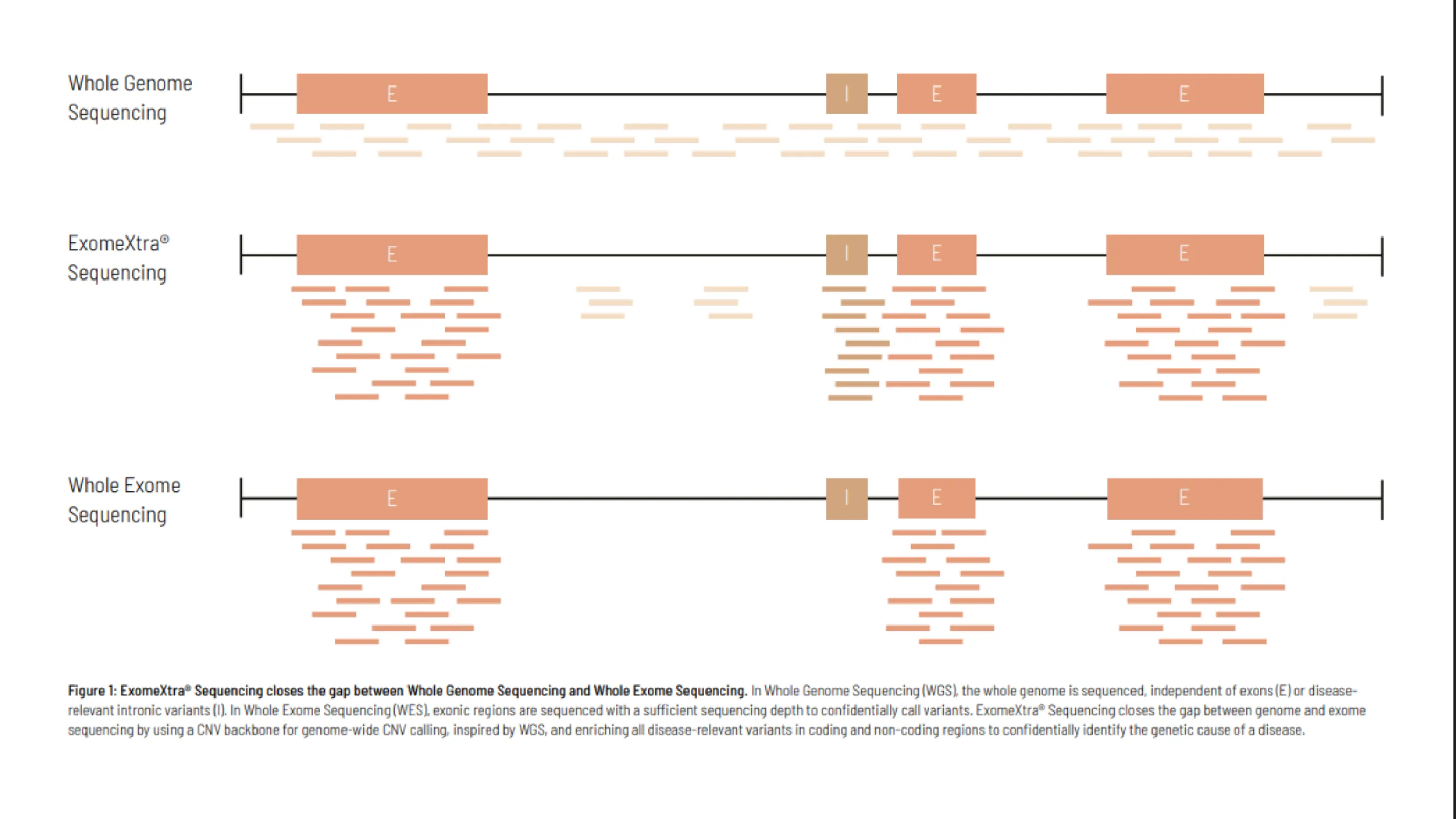 Comparison of standard exome and genome sequencing with ExomeXtra sequencing.