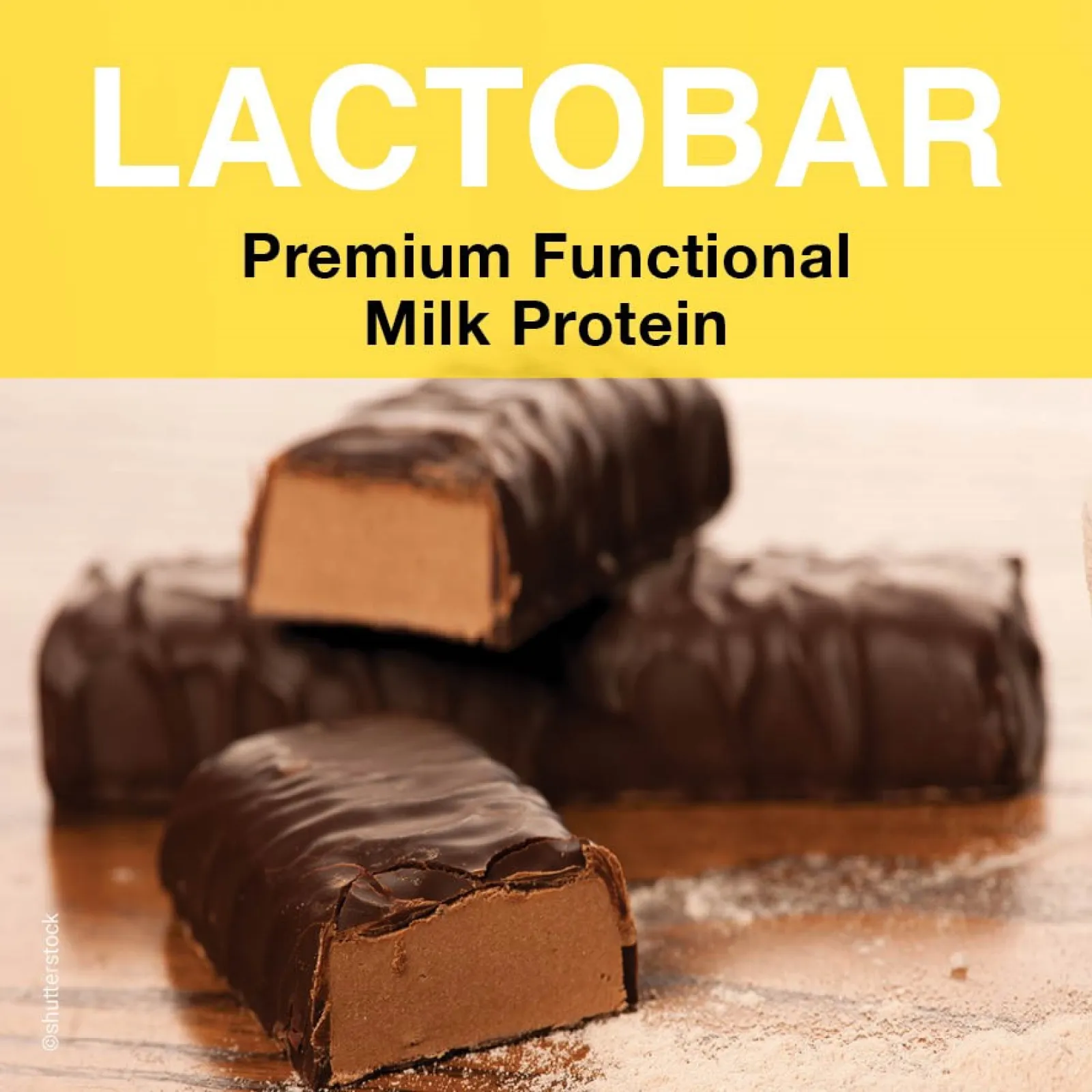 LACTOBAR® - premium functional milk protein especially designed for protein bars