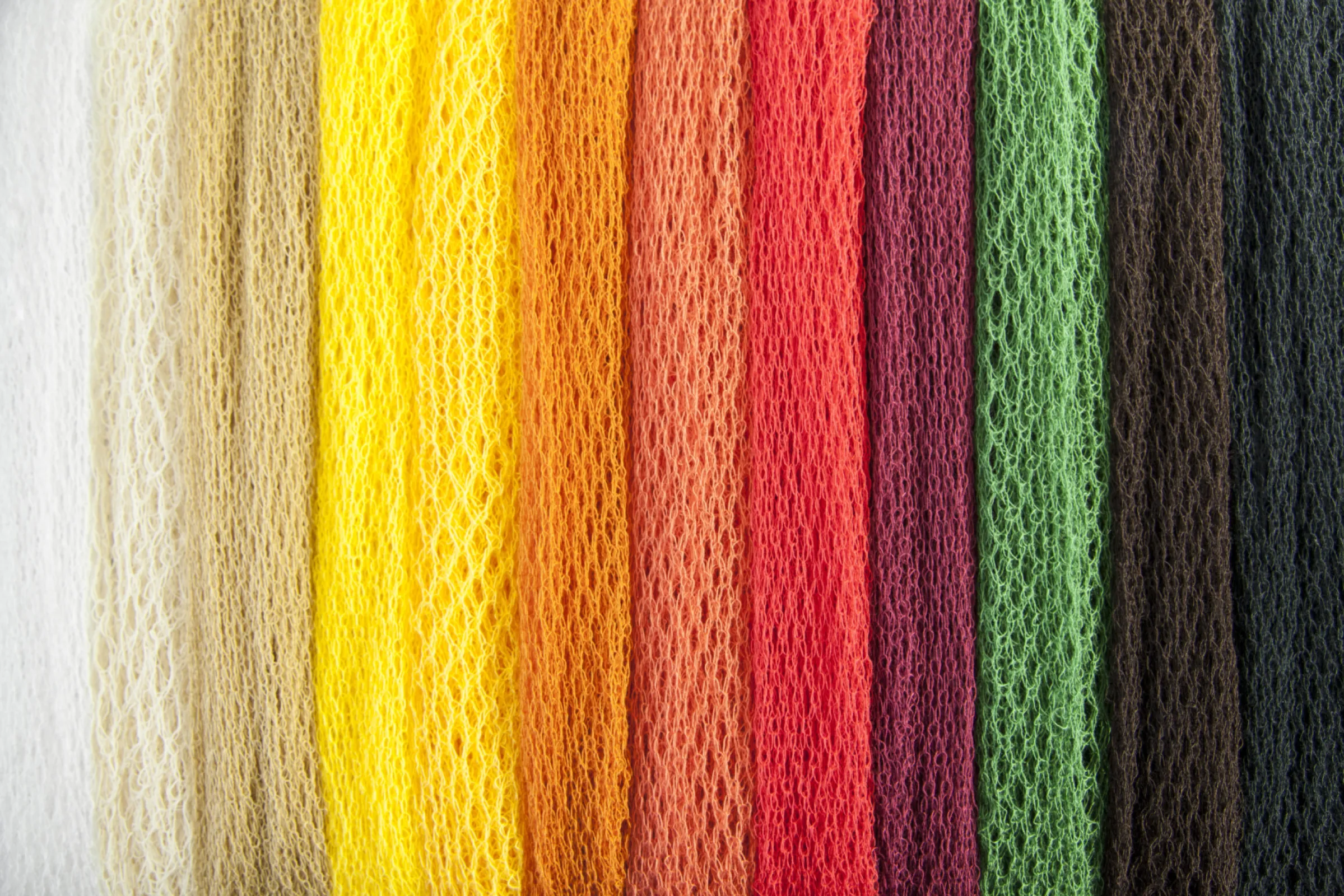 colour palette