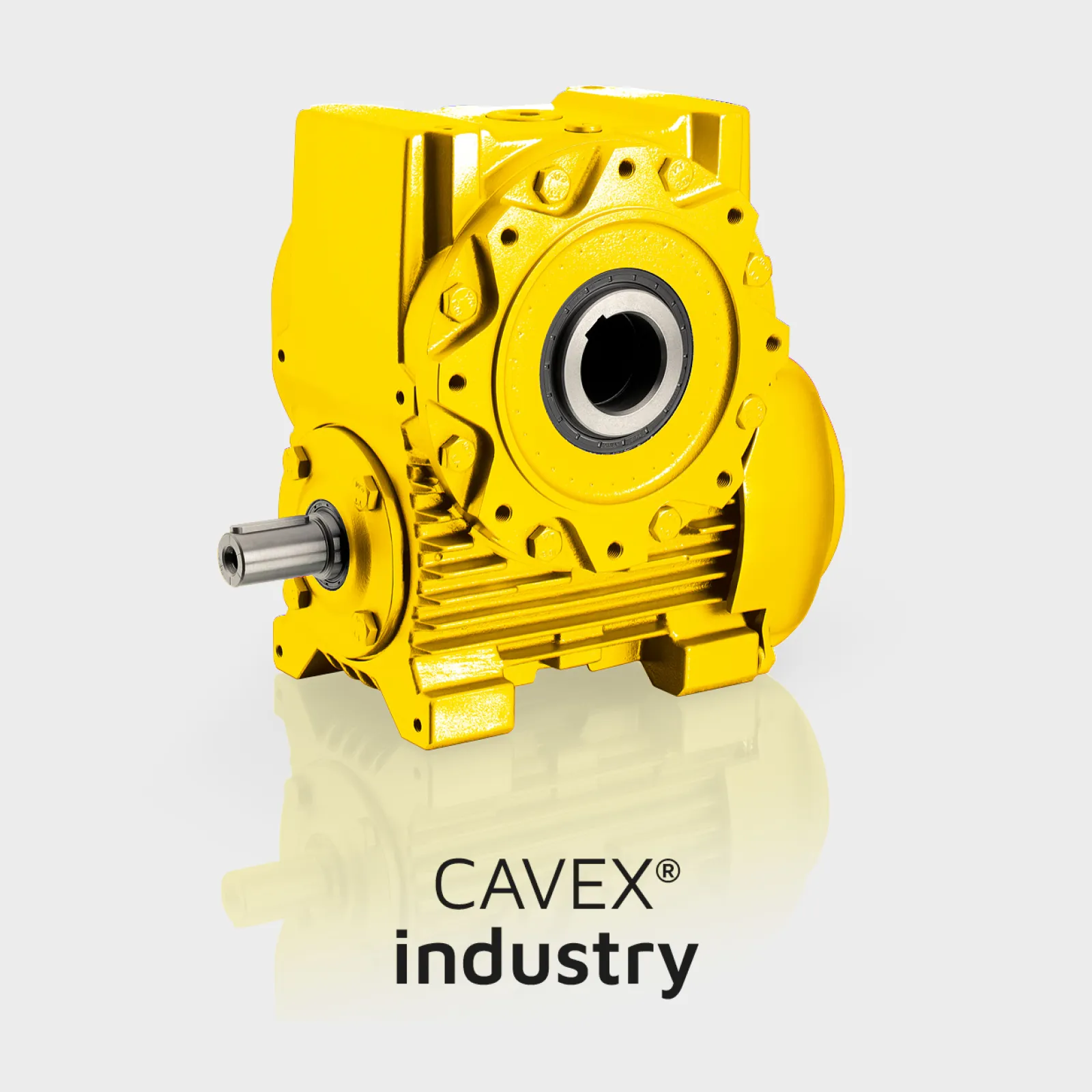 CAVEX Industry: Thanks to the proven CAVEX hollow flank gearing, you benefit from an exceptionally high torque transmission and product lifespan.