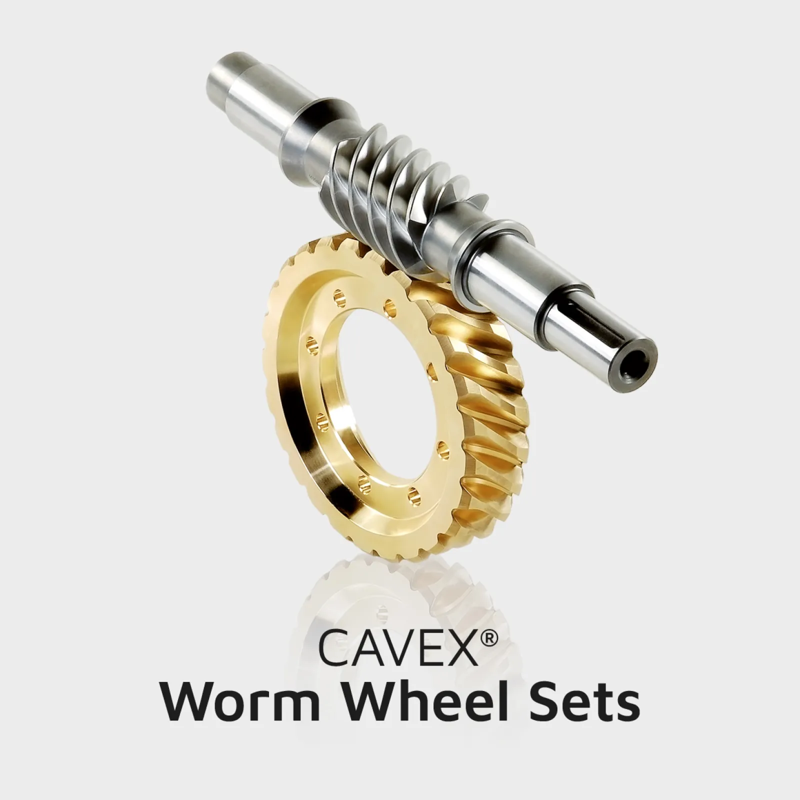 Whether from catalog or as a custom solution: CAVEX worm gear sets are characterized by their impact-resistant and highly efficient hollow flank gearing.  Drive integration made easy.
