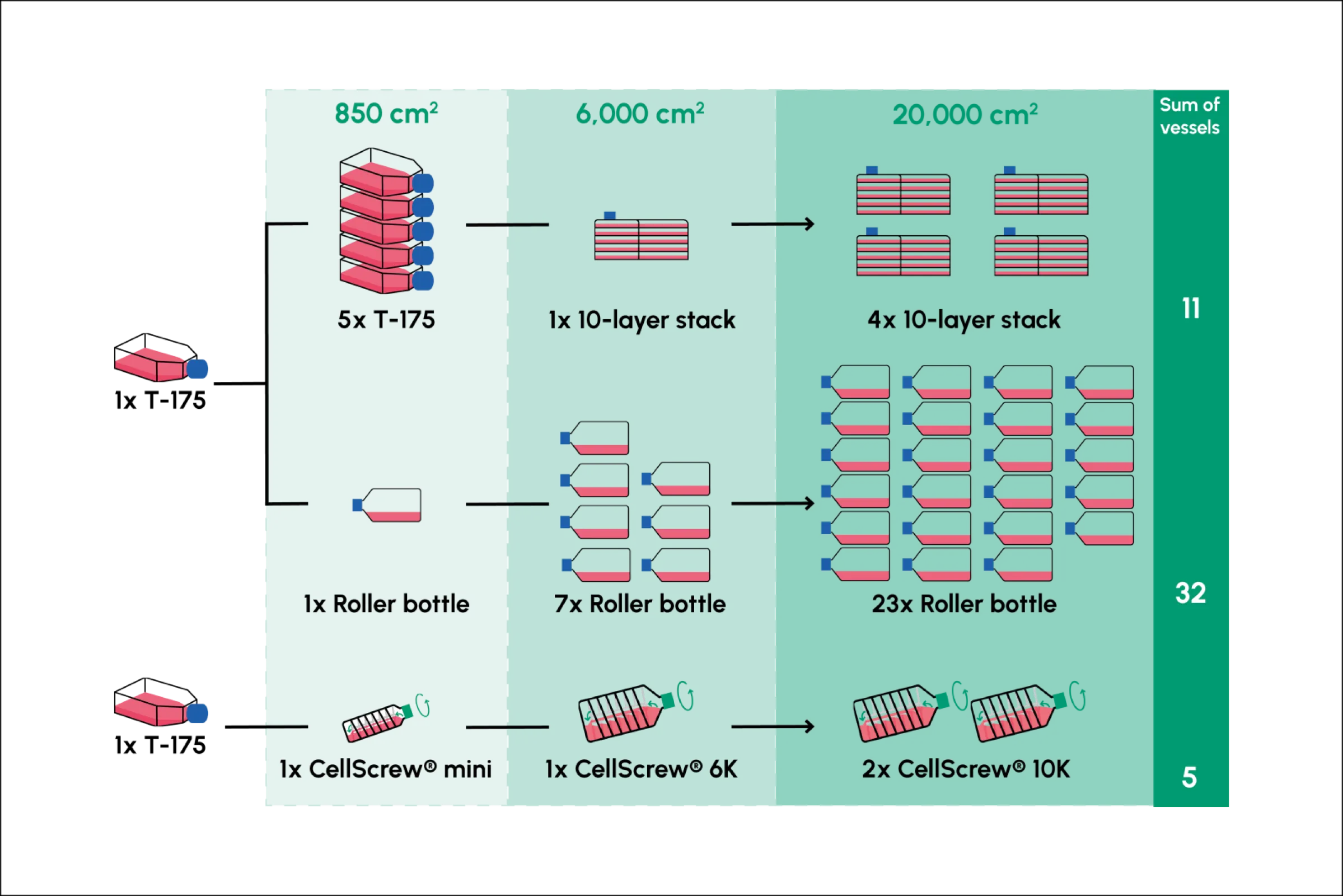 Workflow vessel and labor reduction through CellScrew system