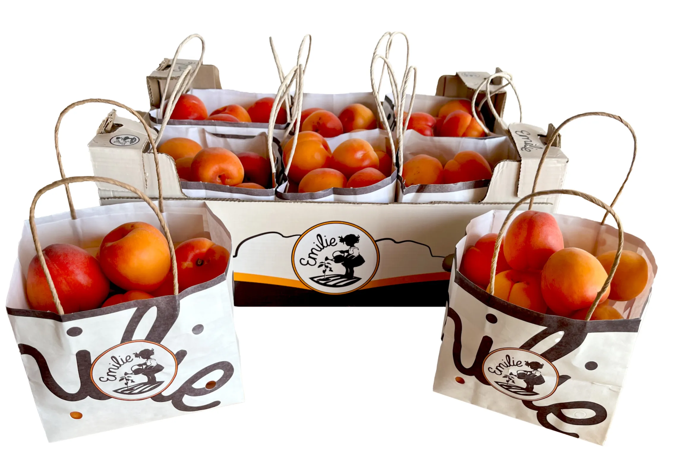 Apricots in KÖLLA own Brand: EMILIE