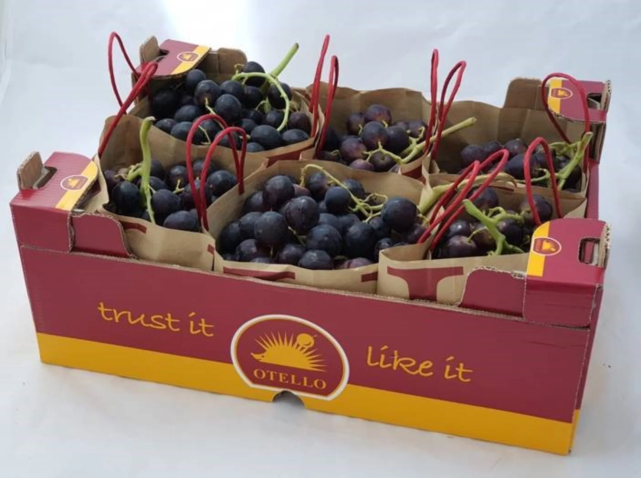 Grapes in KÖLLA own brand: OTELLO
