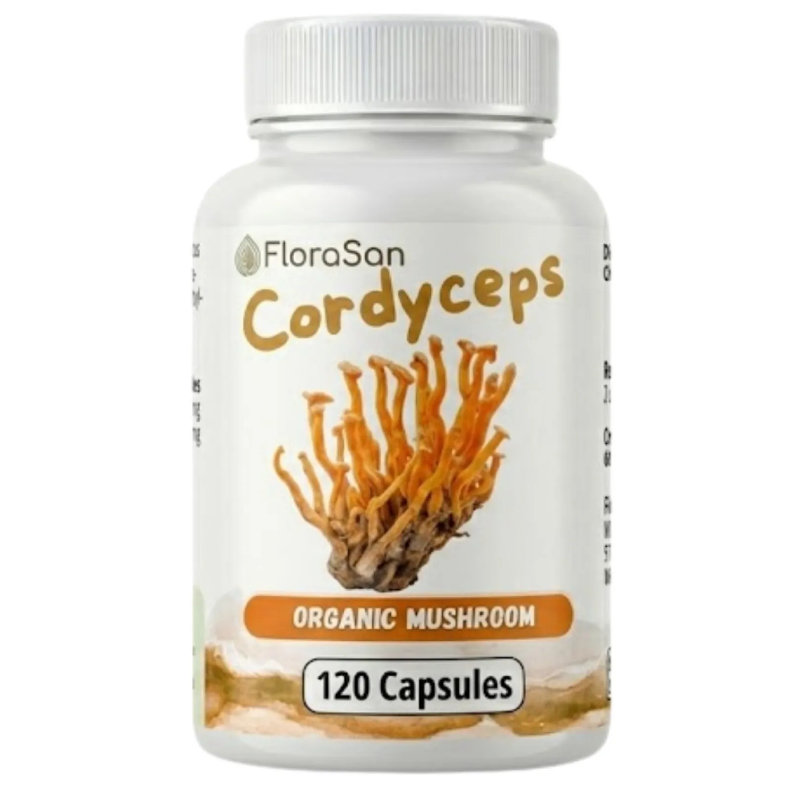 medical mushrooms