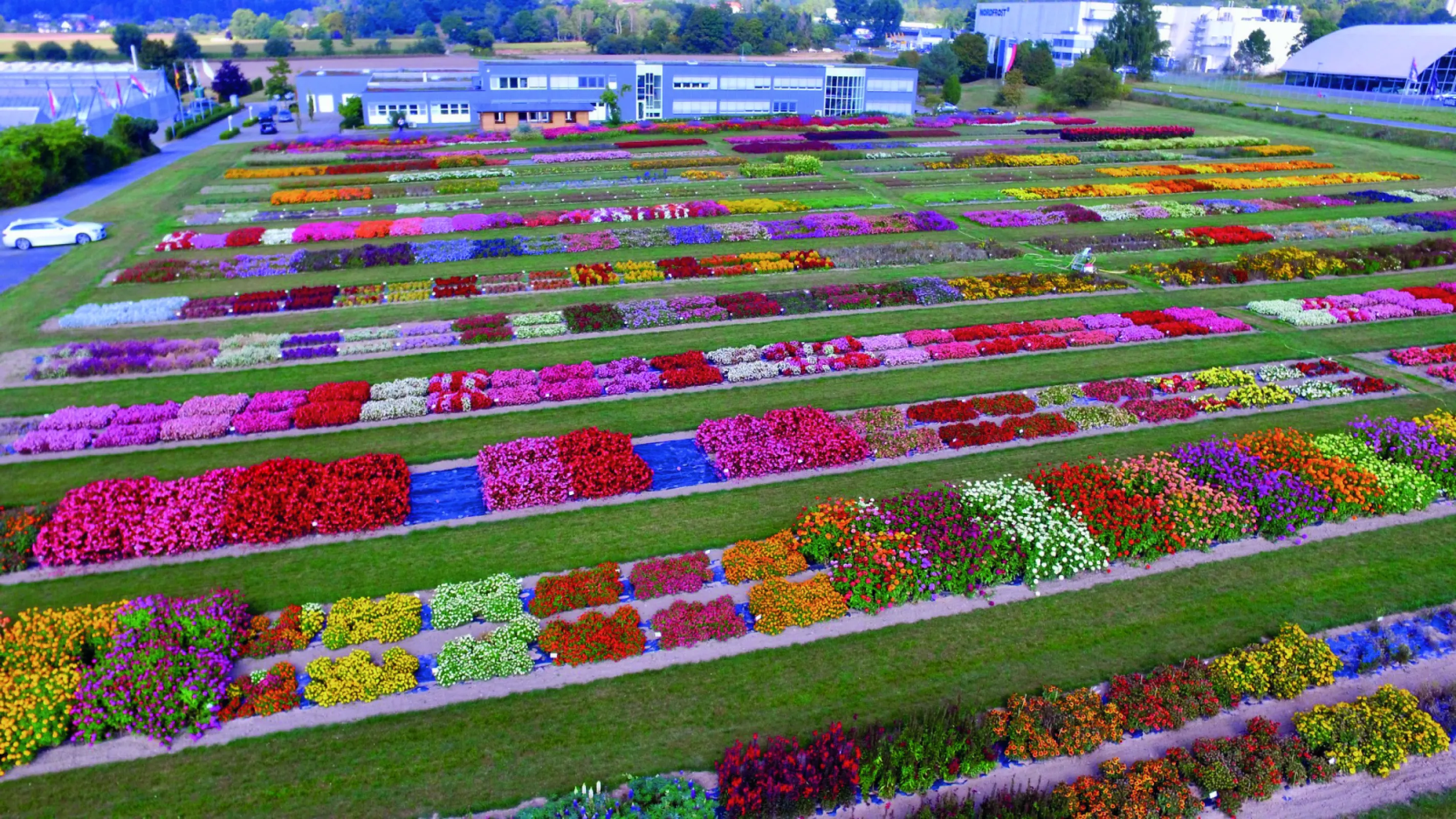Breeding Facility in Germany