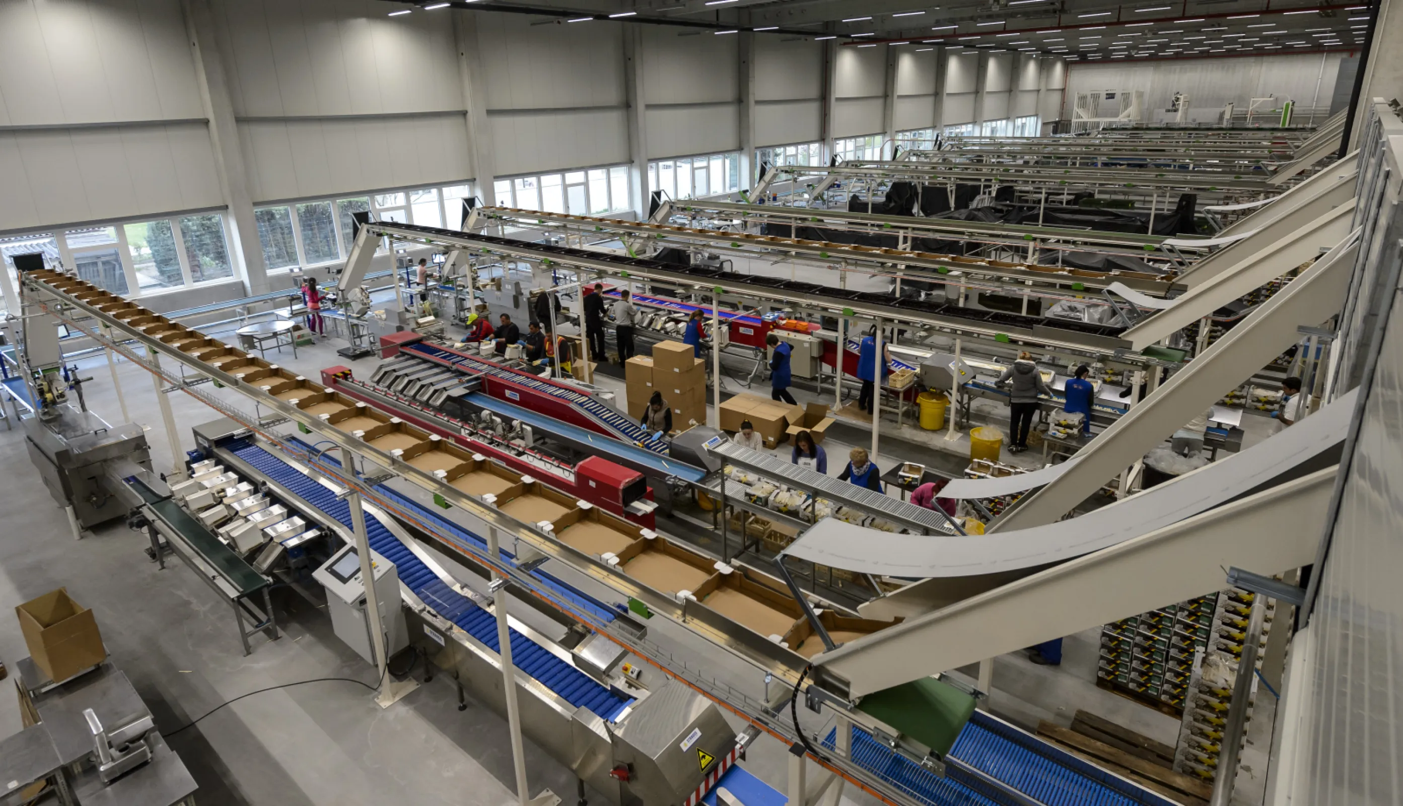 Modern sorting and packing facilities for fresh fruit and vegetables.
