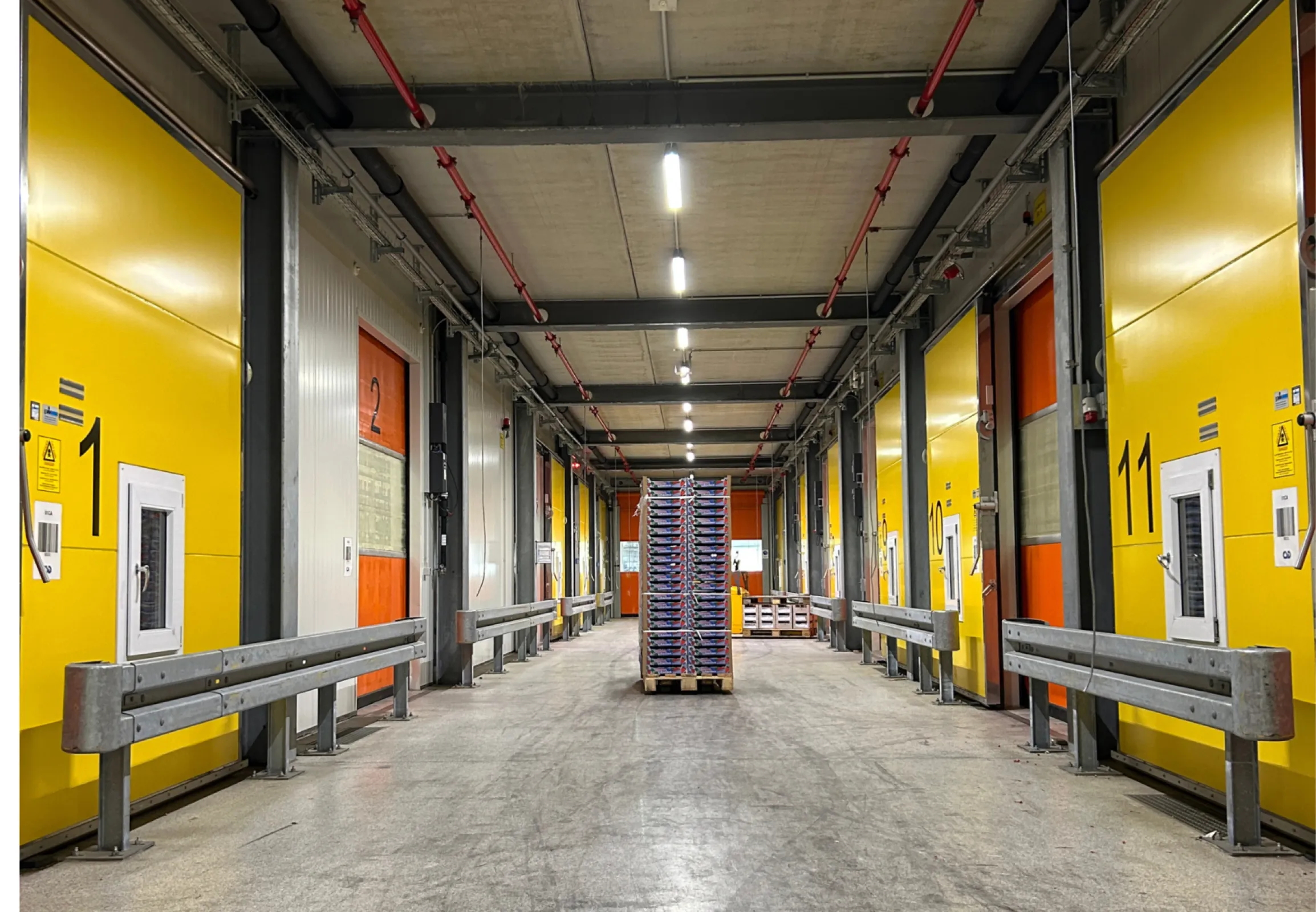 Modern cold-storage facilities, including controlled-atmosphere (CA) storage.