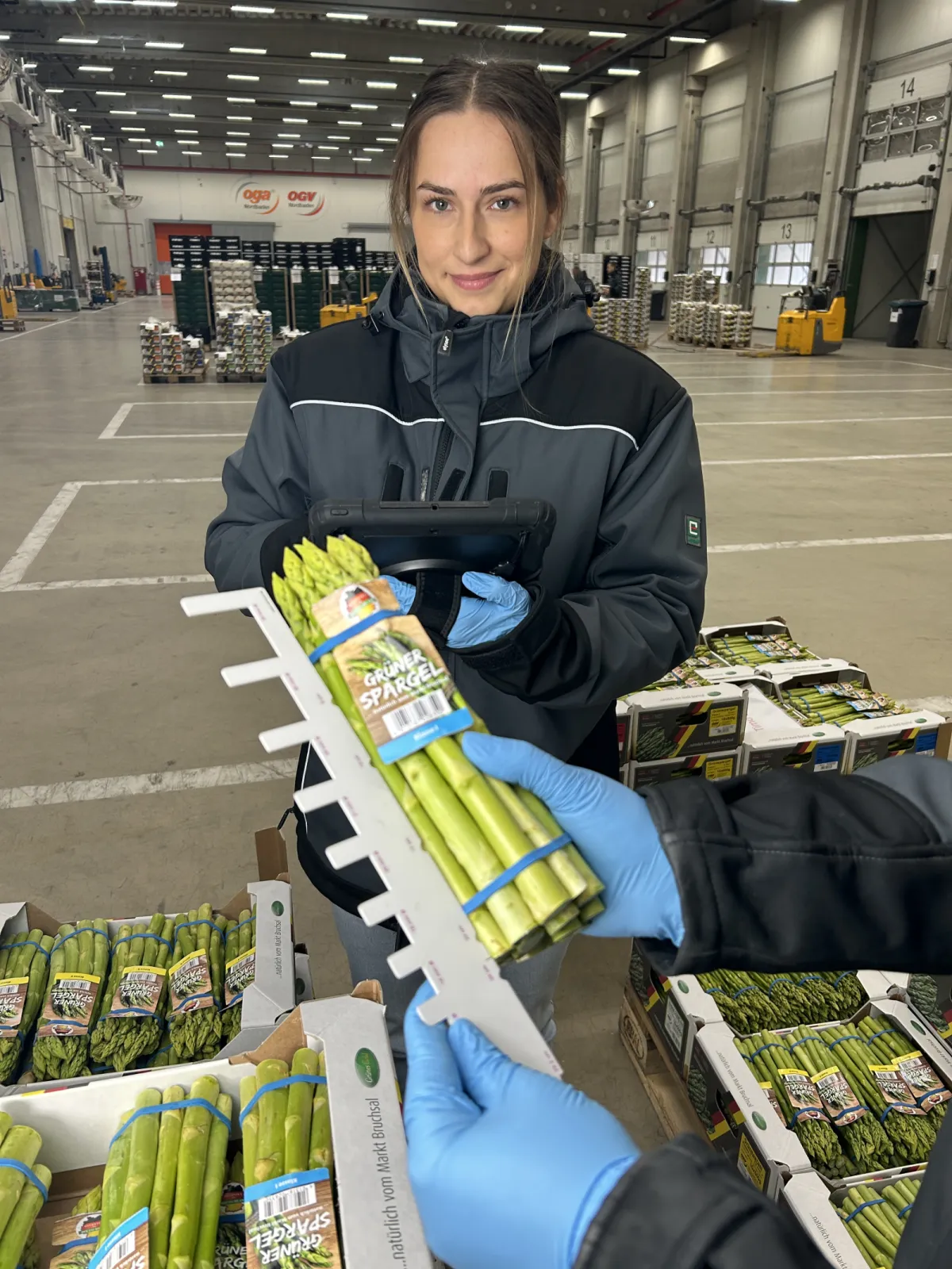 Quality inspection of freshly packed German asparagus.