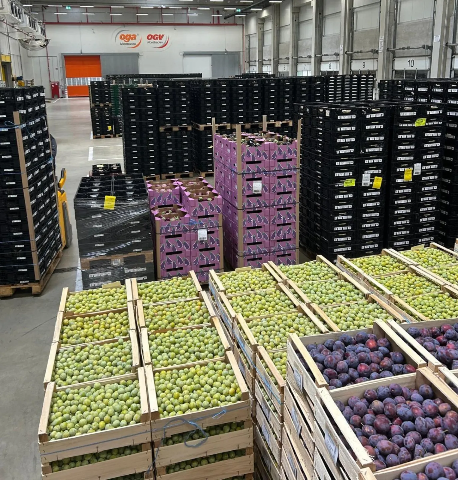 Fresh produce prepared for distribution to retail and wholesale customers.