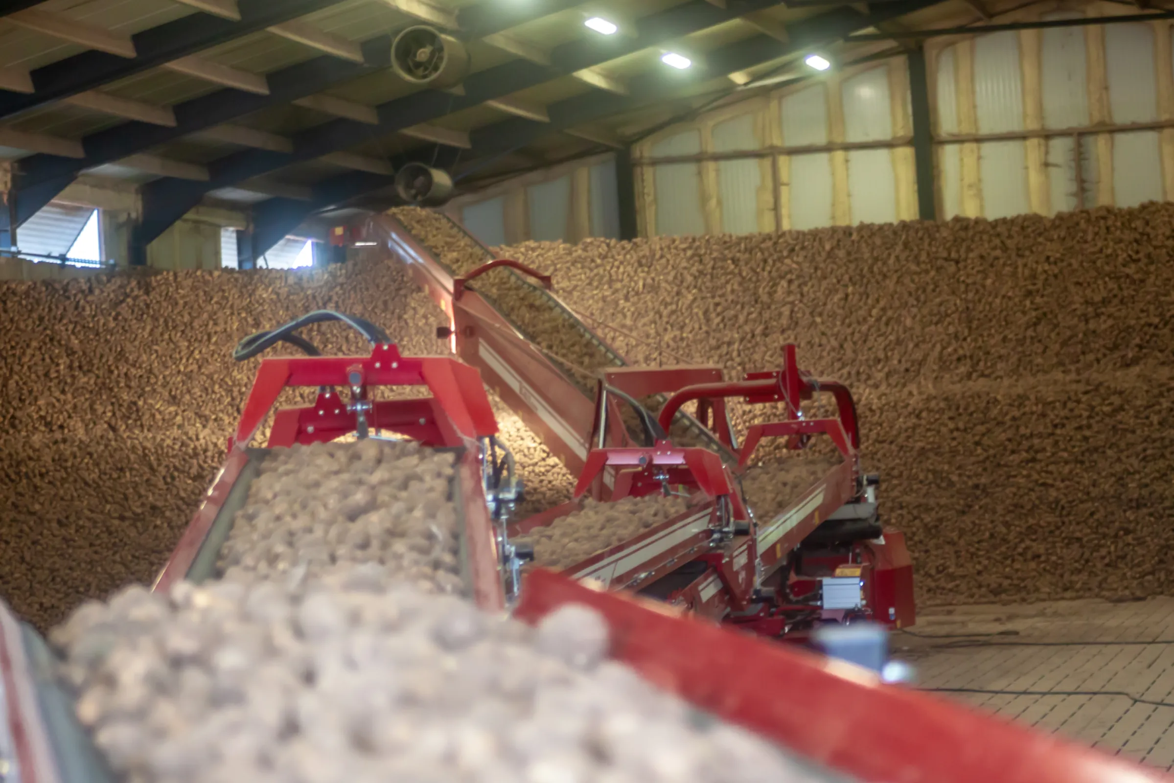 TC 816: Conveyor with variable transport length up to 16 m, belt width 80 cm