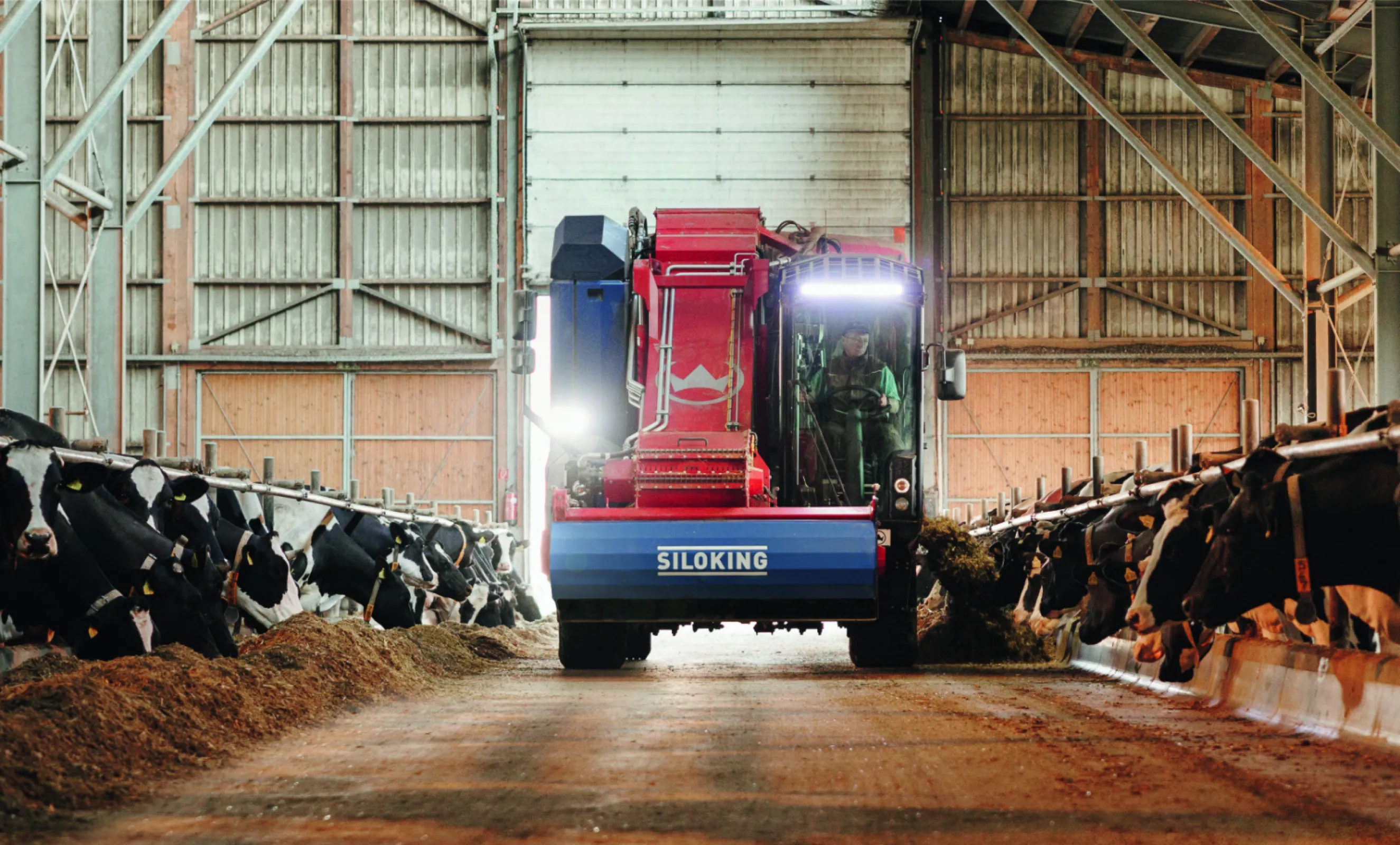 SILOKING SelfLine – self-propelled mixer feeder for efficient and precise livestock feeding