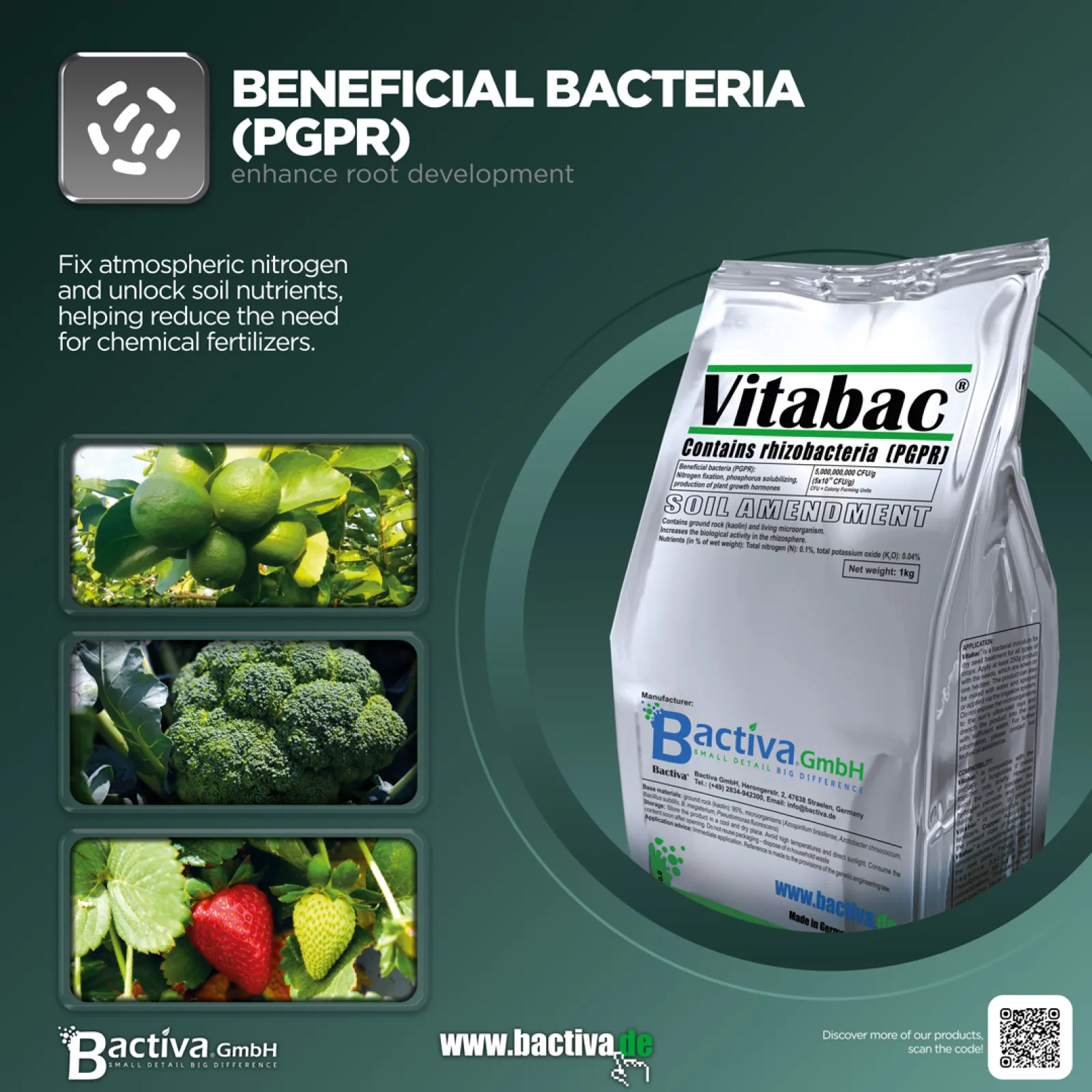 Vitabac® • Beneficial bacteria (PGPR)