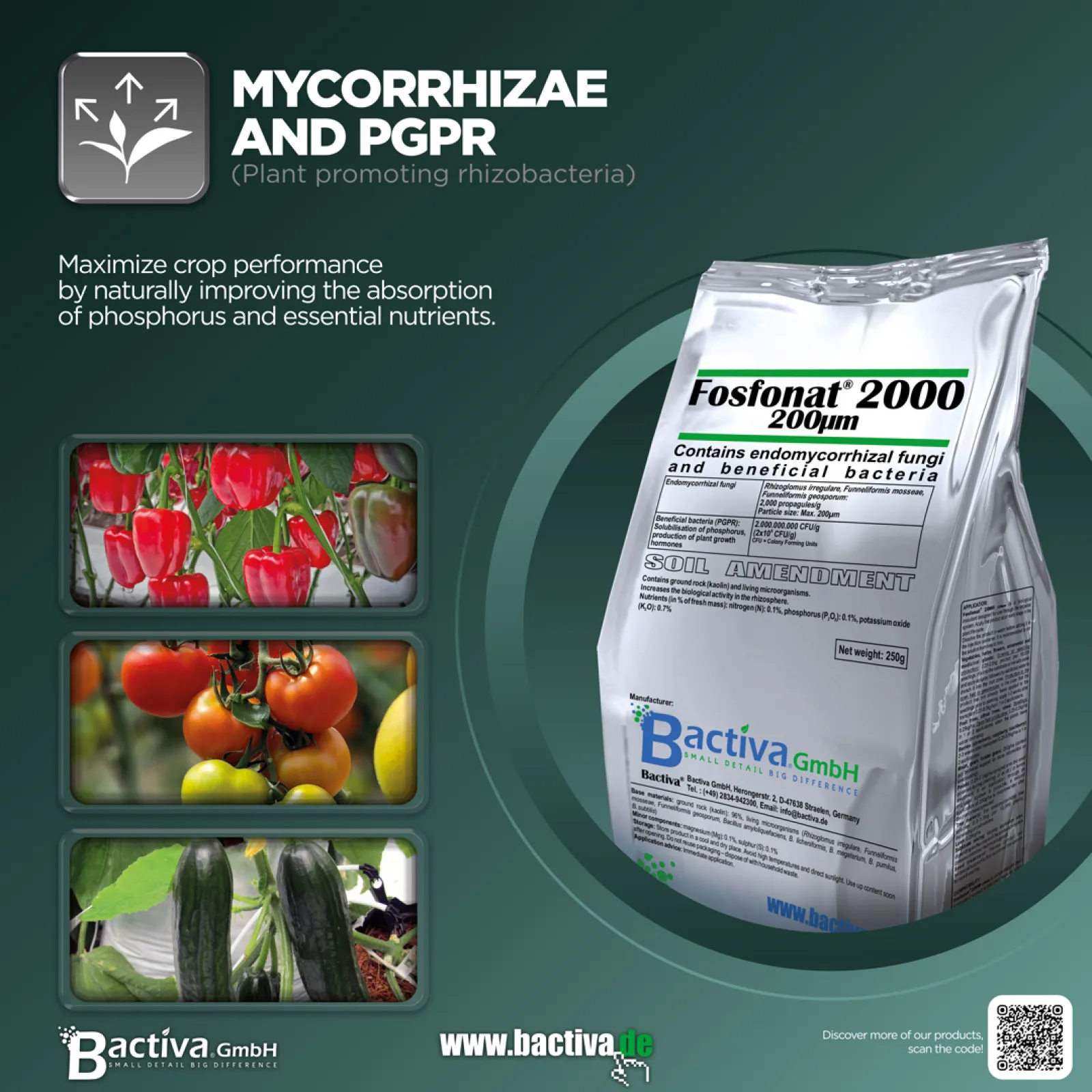 Fosfonat® 2000 • Mycorrhizae and PGPR