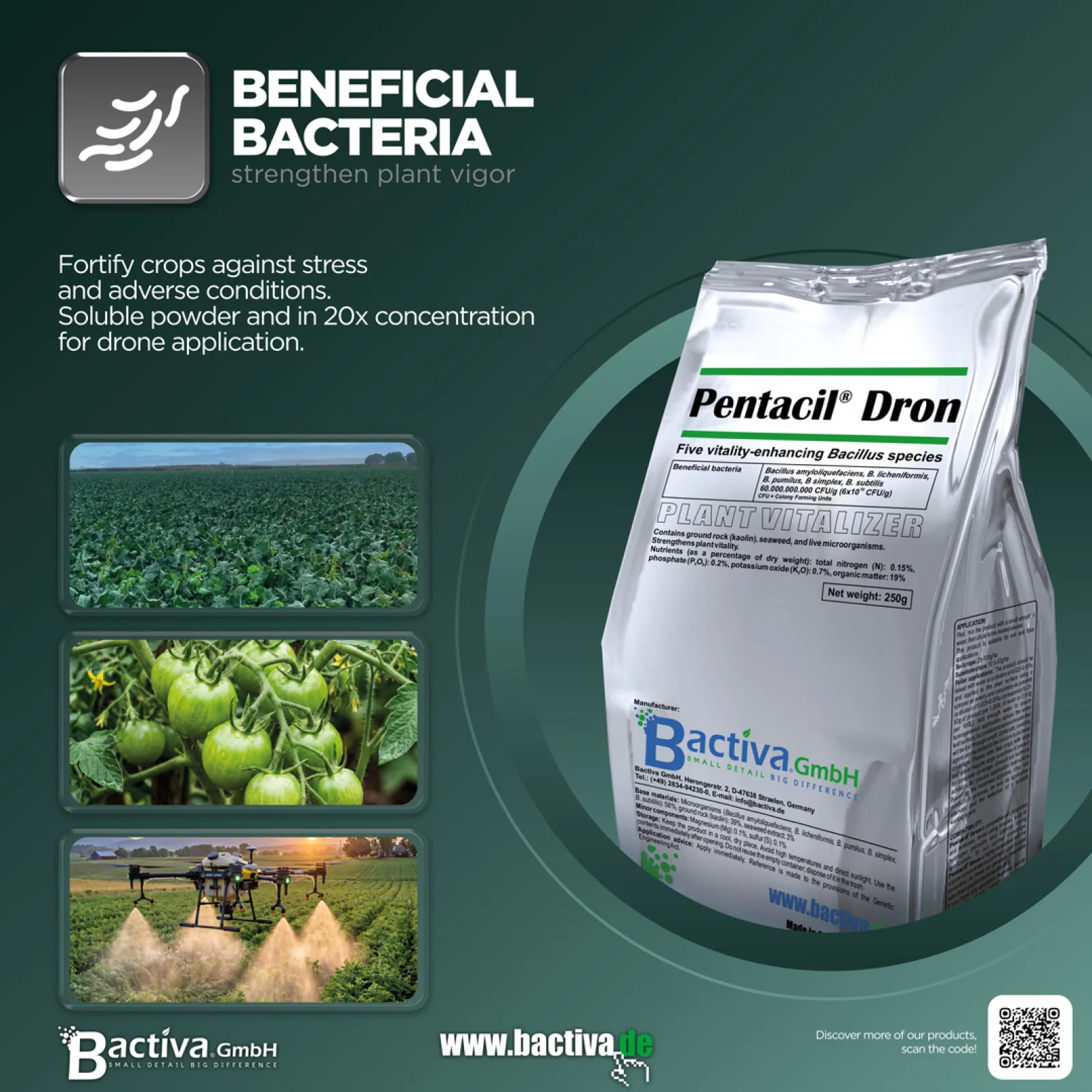 Pentacil® and Pentacil® Dron • Beneficial bacteria