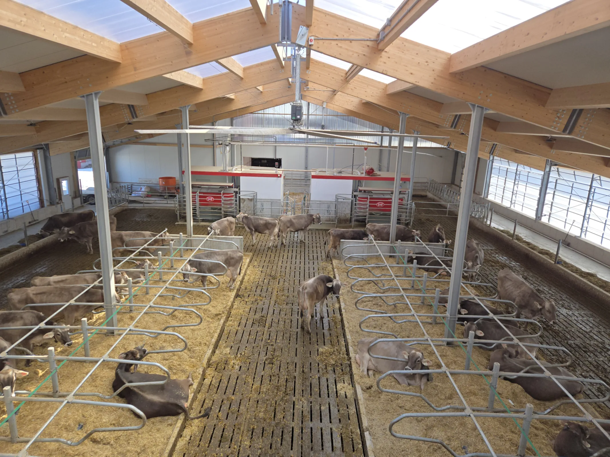 Dairy Barn in Ontario