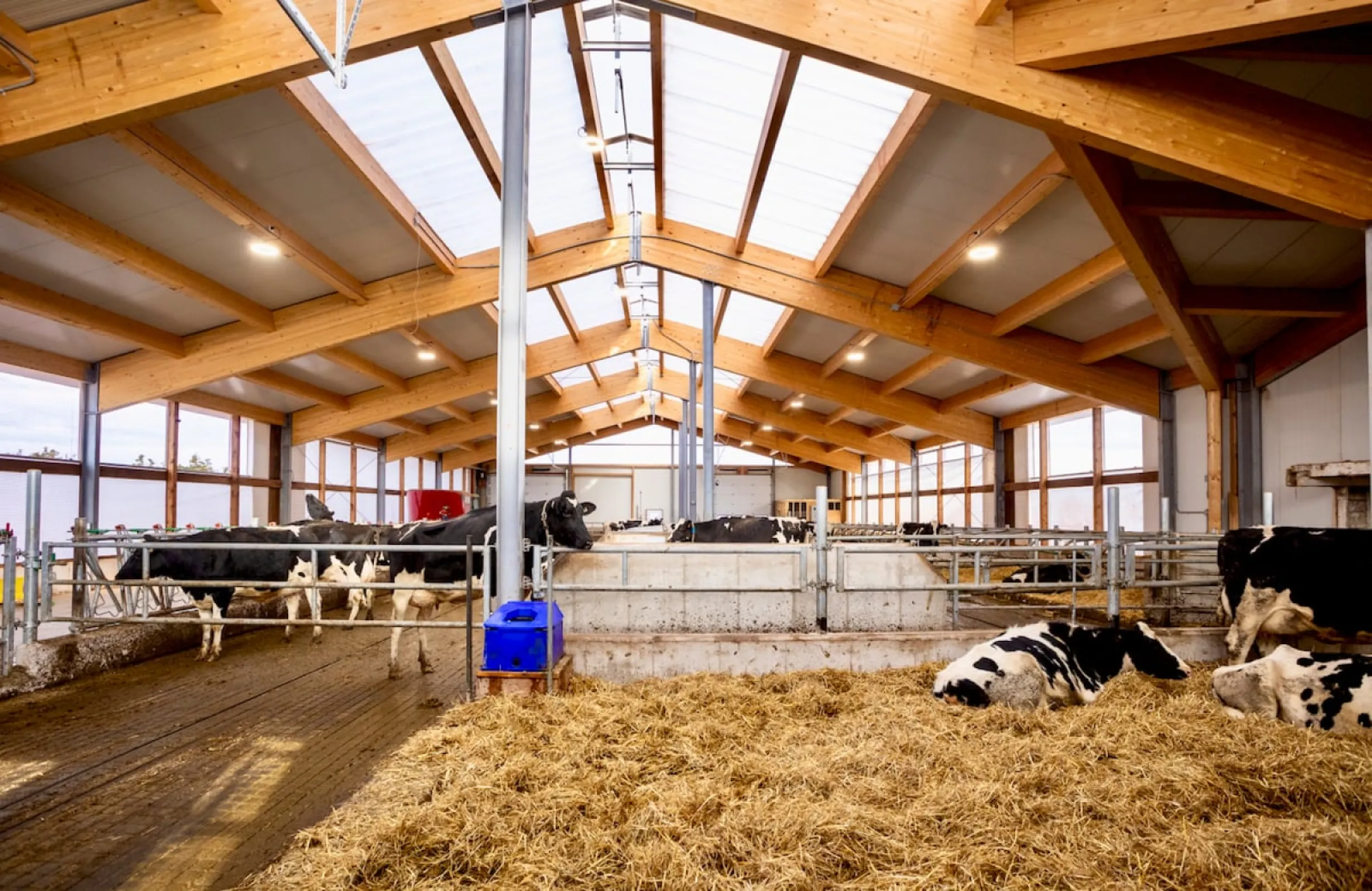 Dairy Barn on PEI