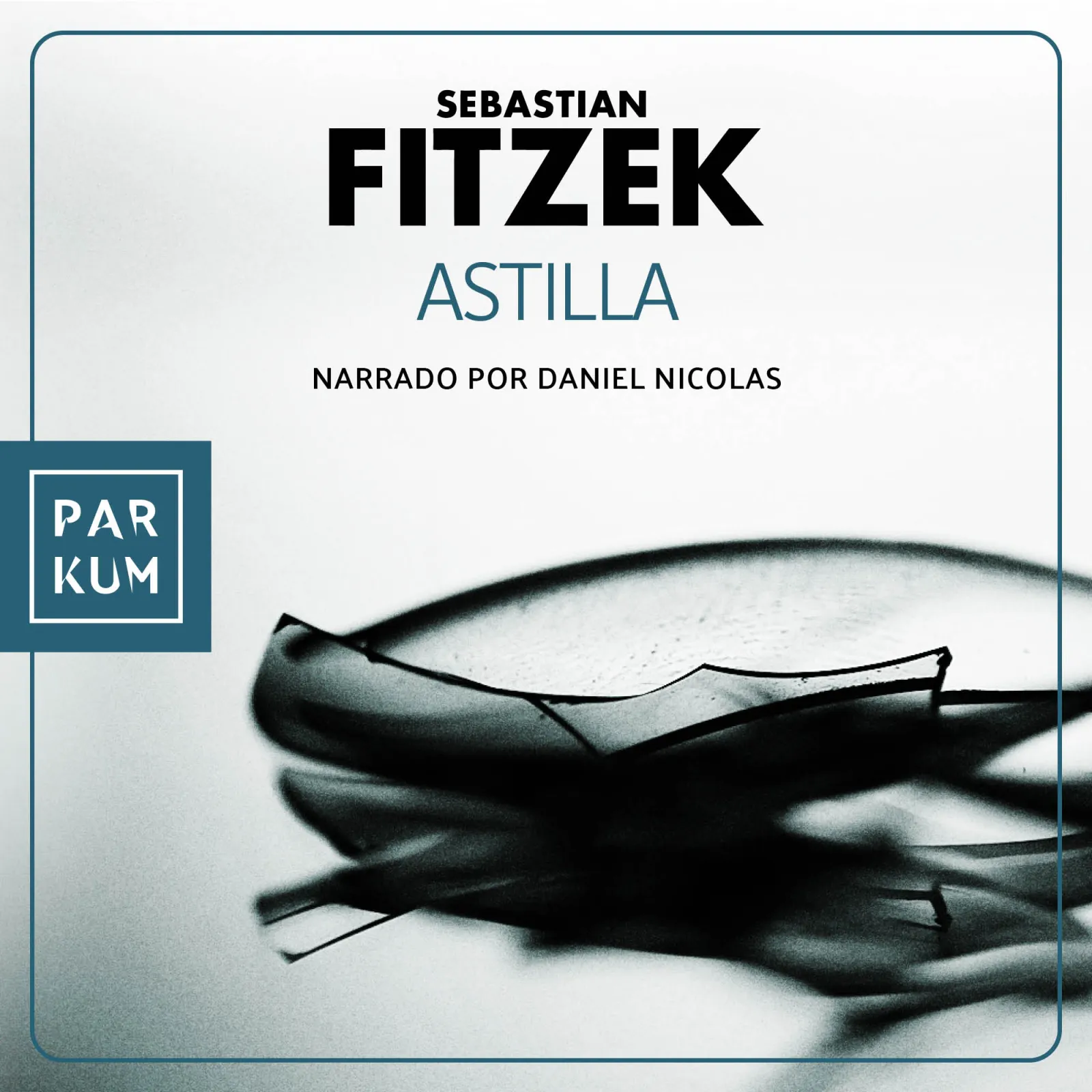 Sebastian Fitzek: Astilla