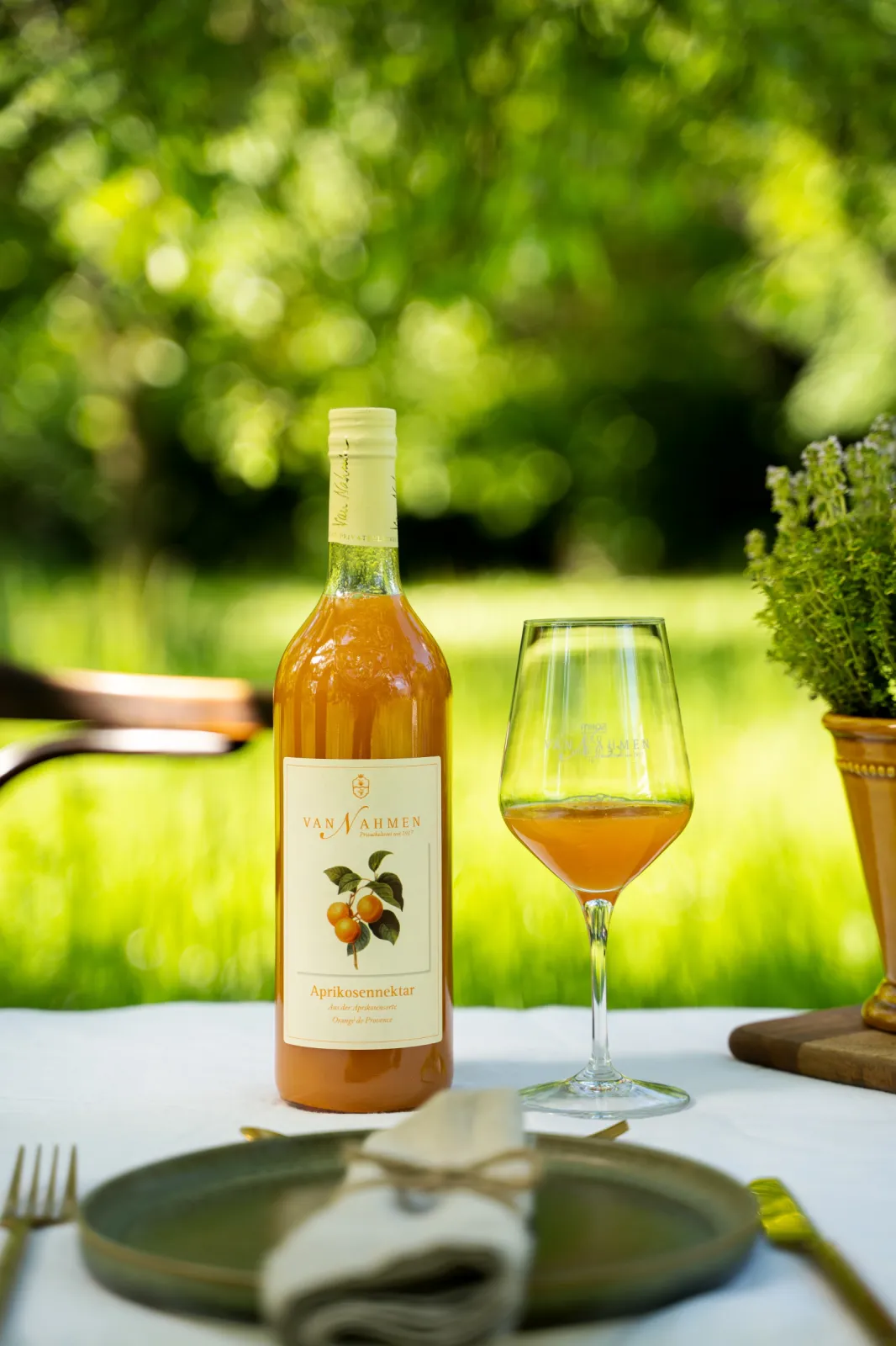 Apricot Nectar