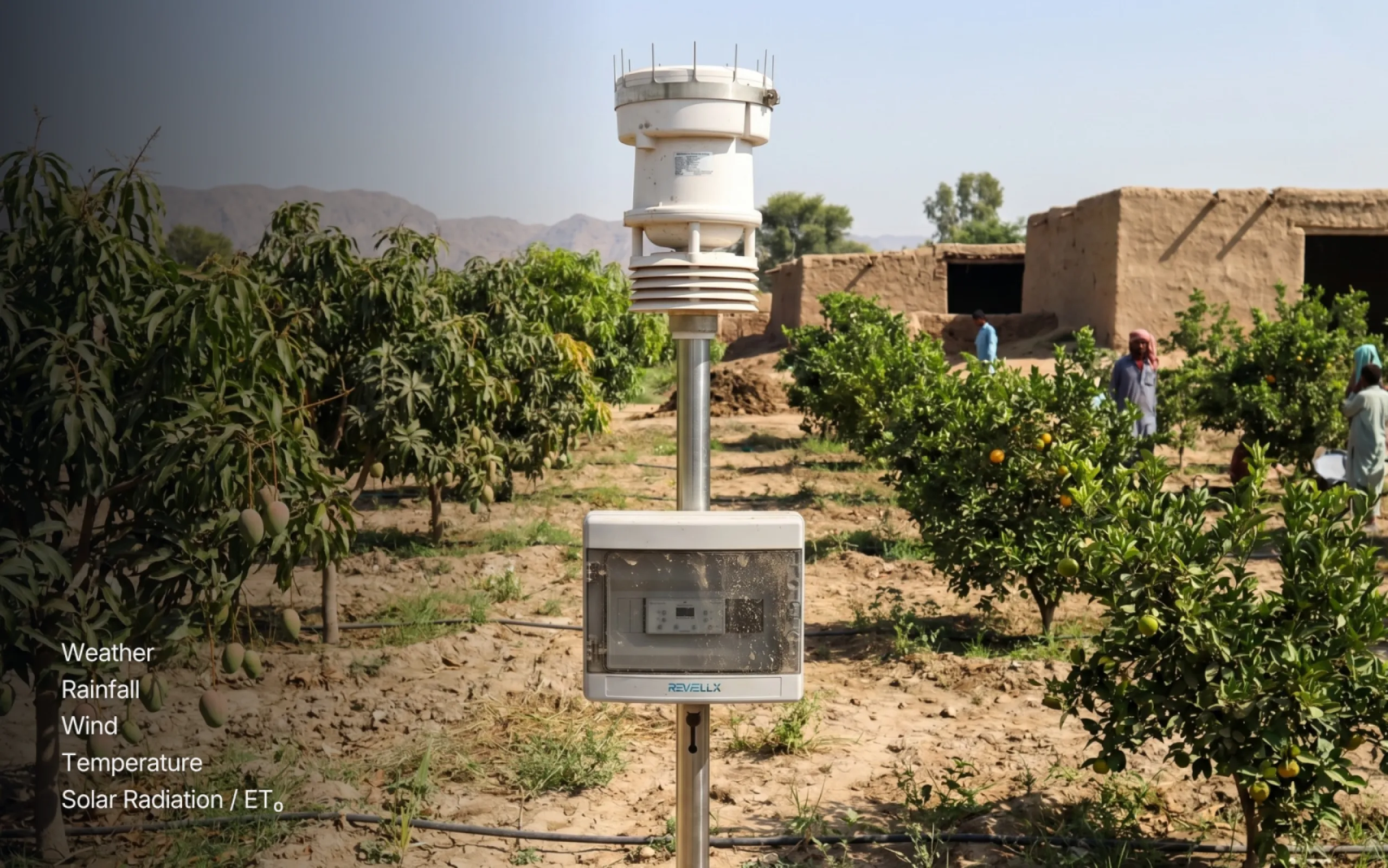 WeatherIQ captures local agricultural weather conditions such as temperature, rainfall, wind and solar radiation to support better-informed irrigation and farm operations.