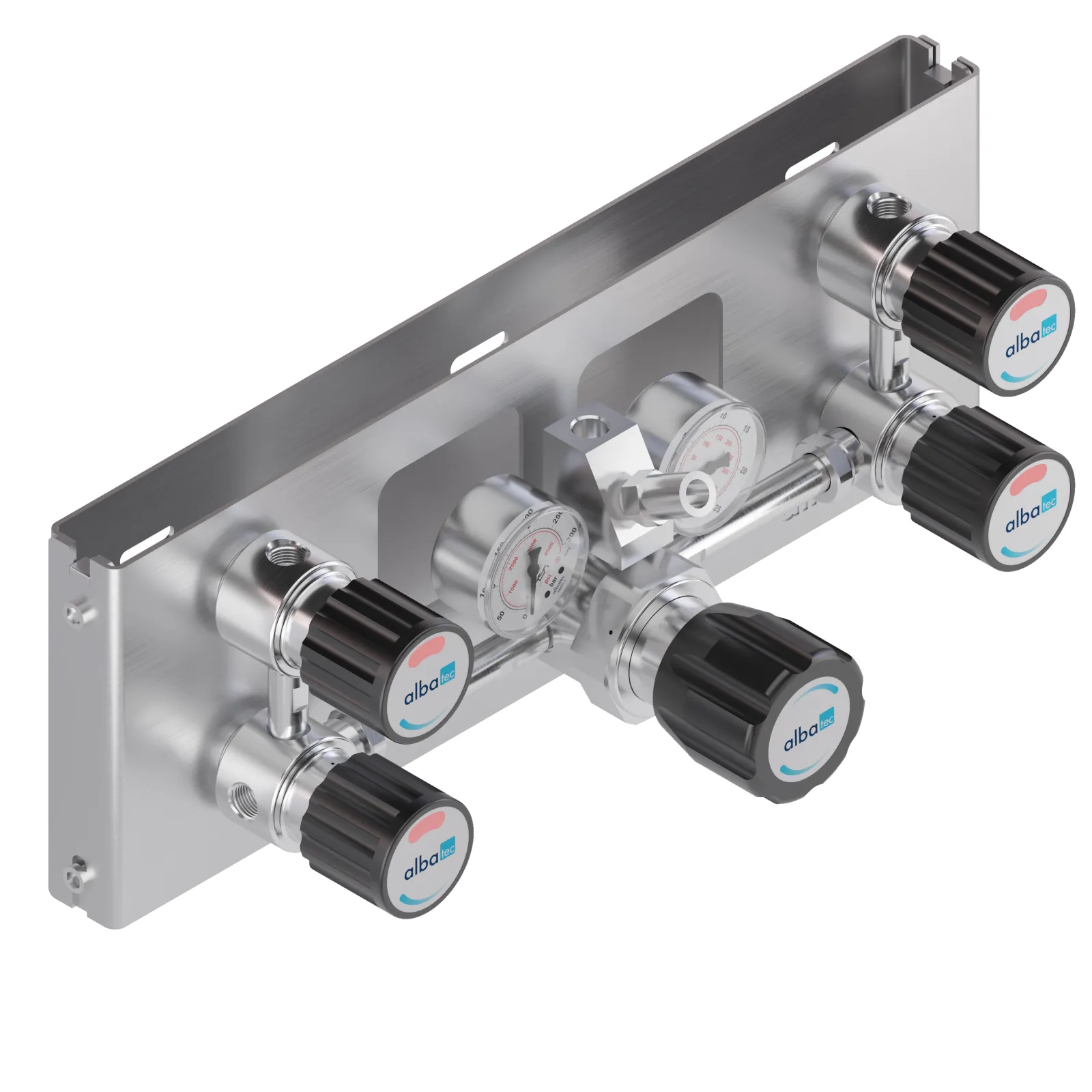 Double inlet gas supply panel