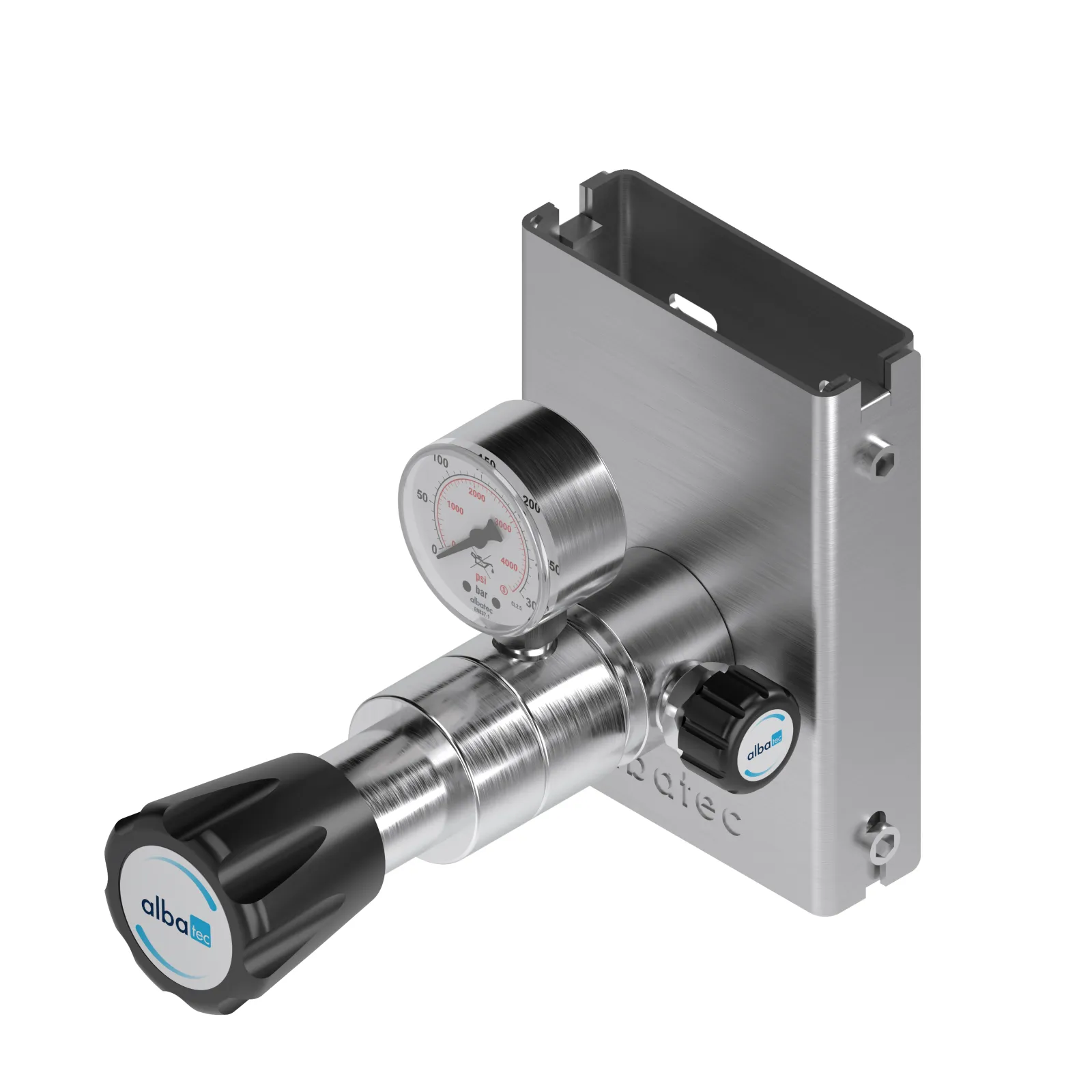Wall mount point of use regulator
