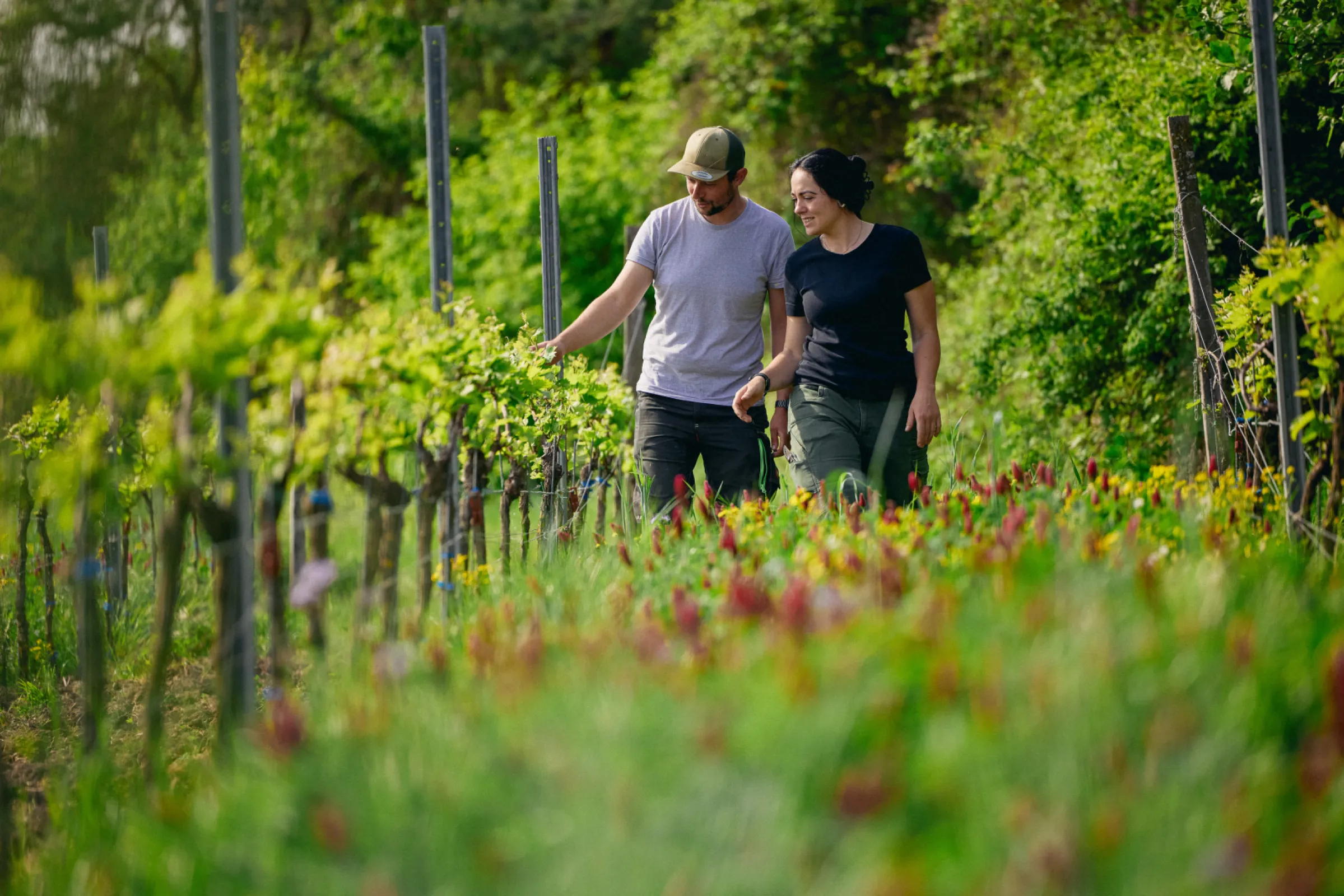 Covercrops and Biodiversity by Pflüger