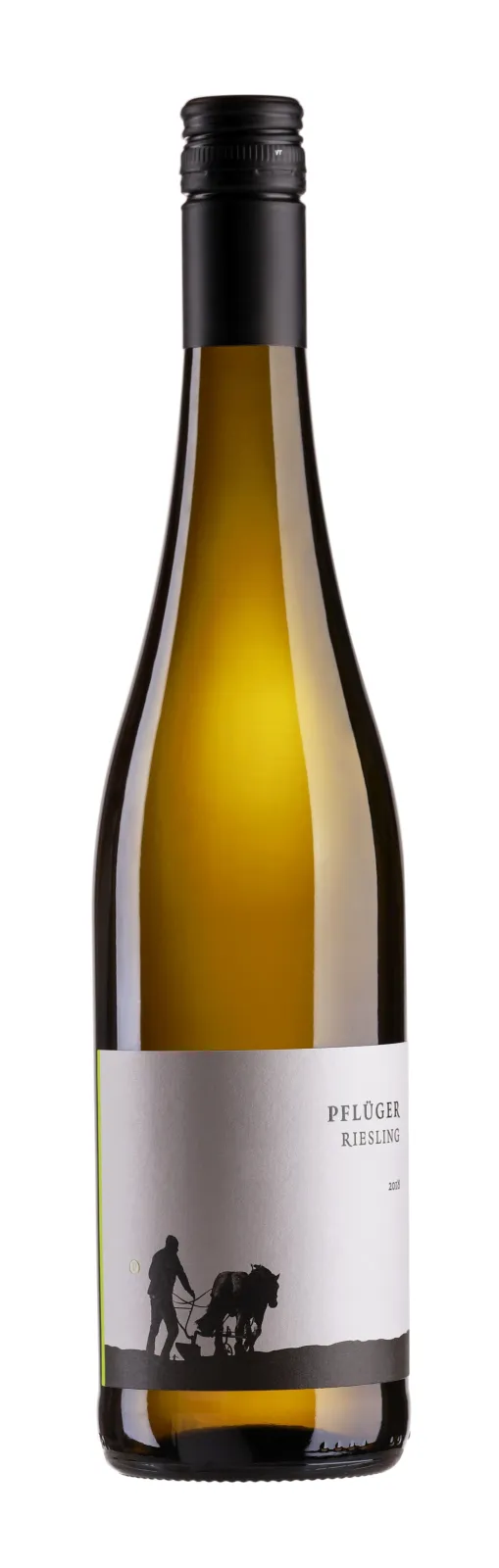 2025 Riesling feinherb