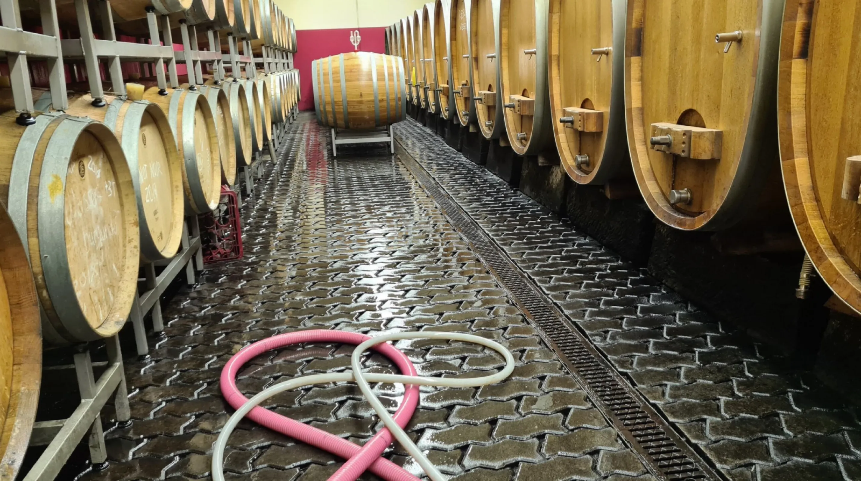We make our wine in the vineyard. Trust is of the utmost importance in the cellar. Sensing what the wines need – or don’t need. Careful handling and experience lay the foundation for wines with character and terroir.
