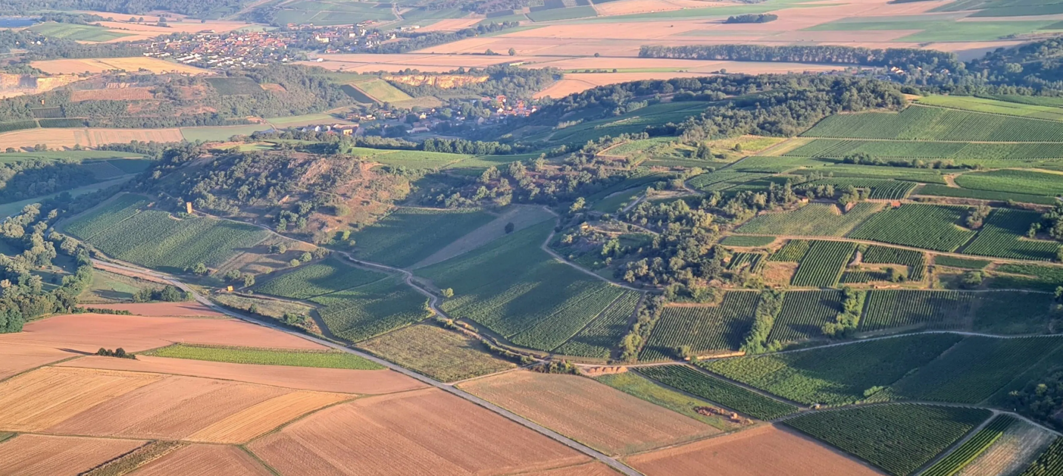 Our homeland is as diverse as the ancient coral reefs that once existed here in the region. It is a mix of farmland, meadows, woods, heathland and, of course, our beloved vineyards.