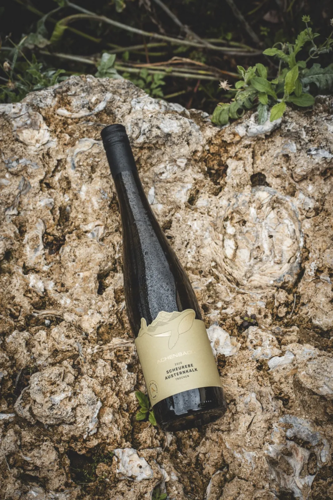 The ‘Primeval Sea’ vines grow where the ancient primeval sea once lapped at the shore. Smooth, rounded pebbles, shark’s teeth, mussels and oysters bear witness to this.