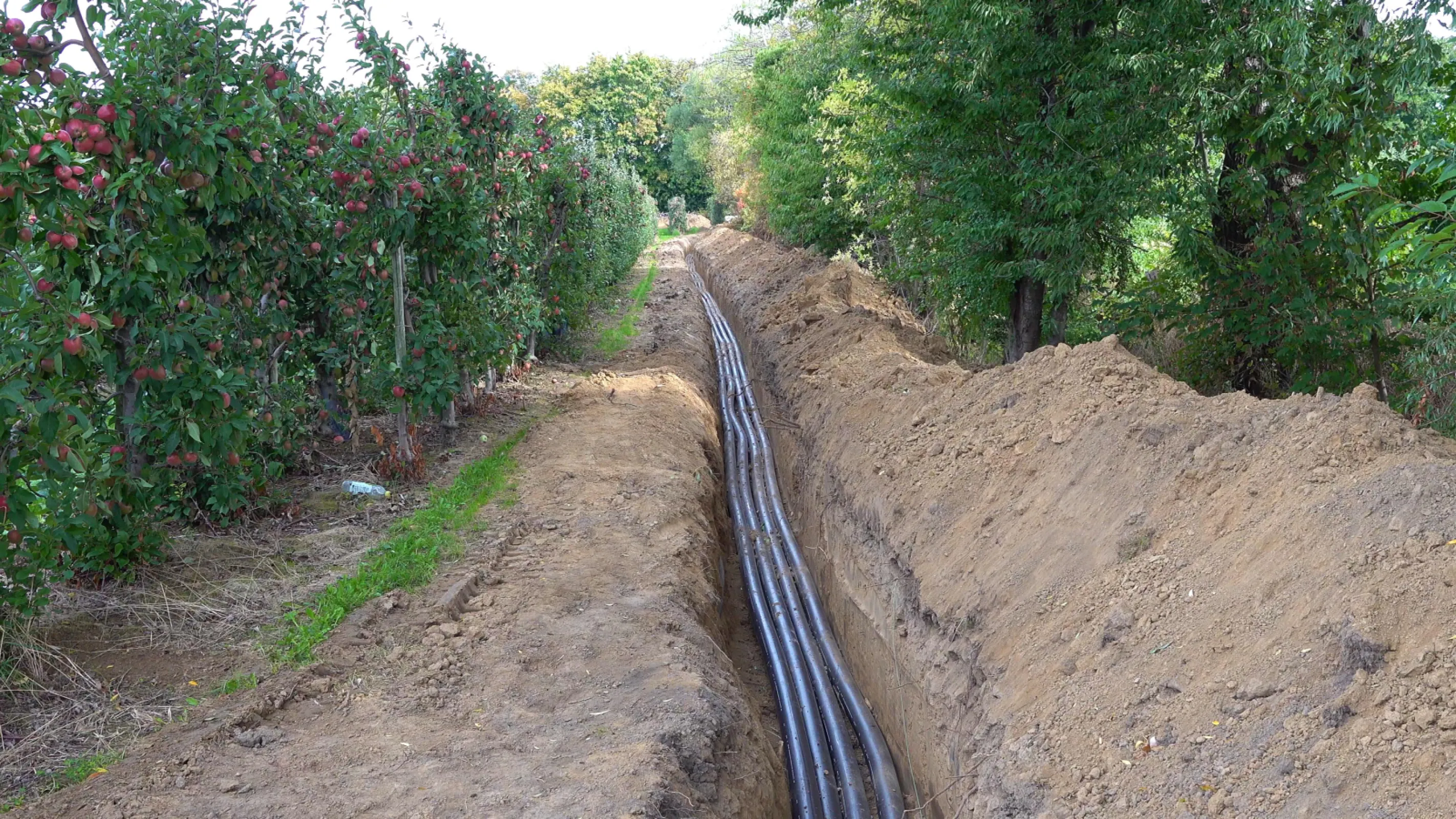 Pipe system for Irrigation