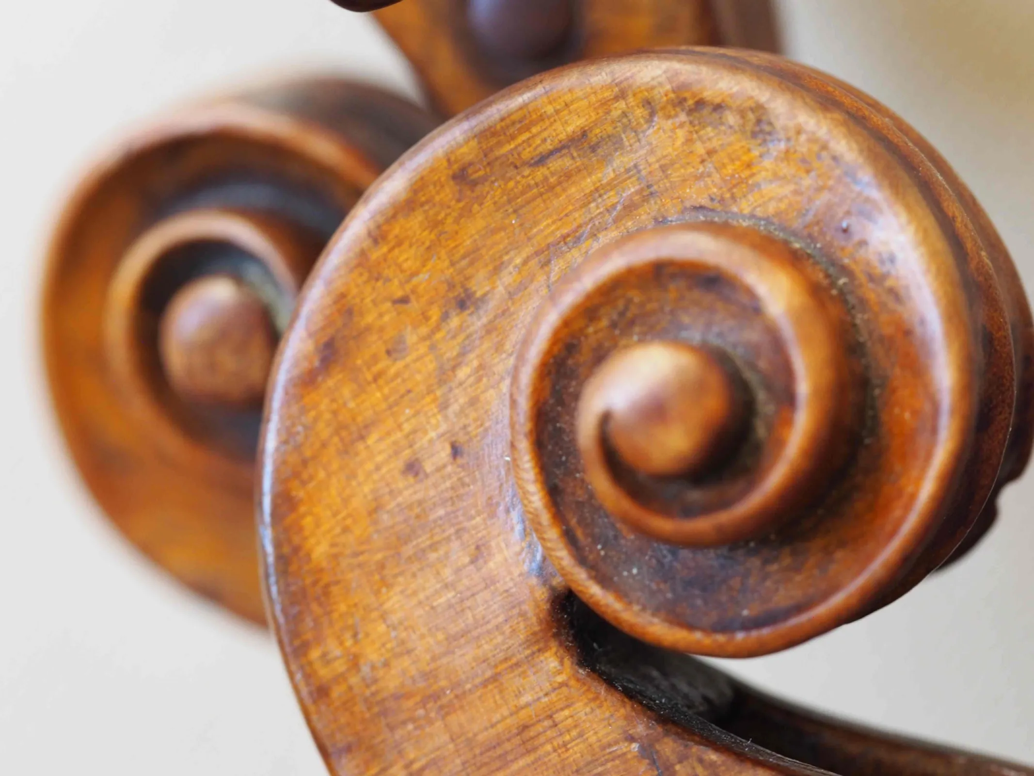 fine violins